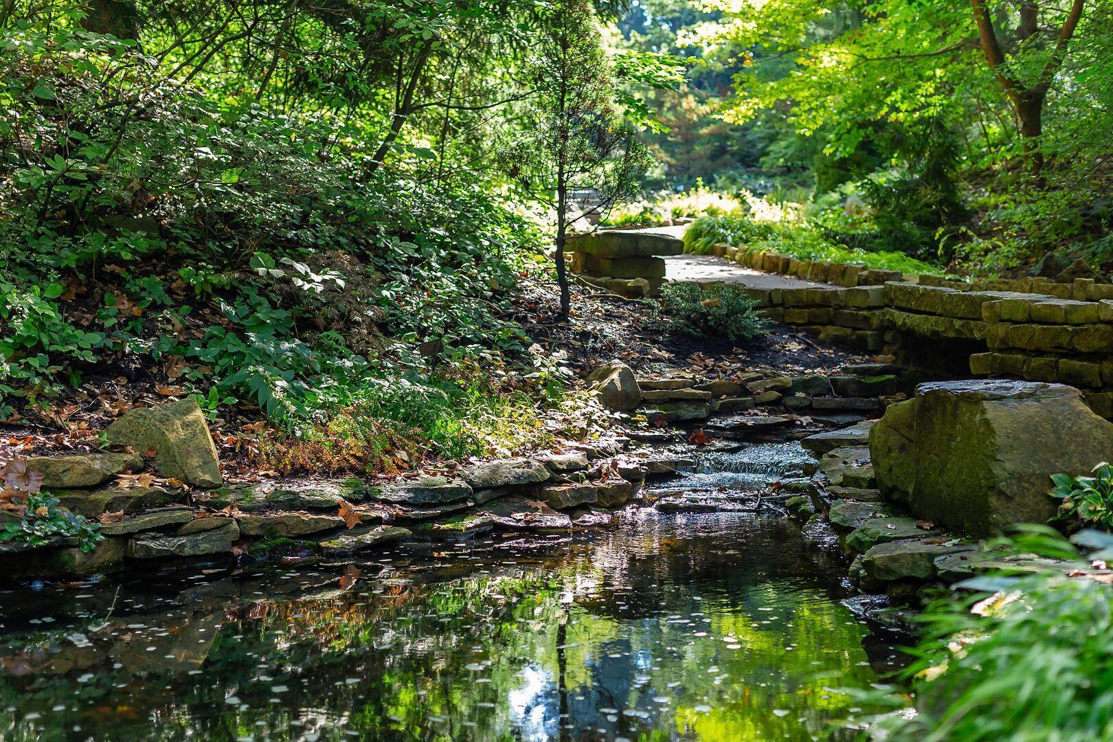 613 Valley Wood Court