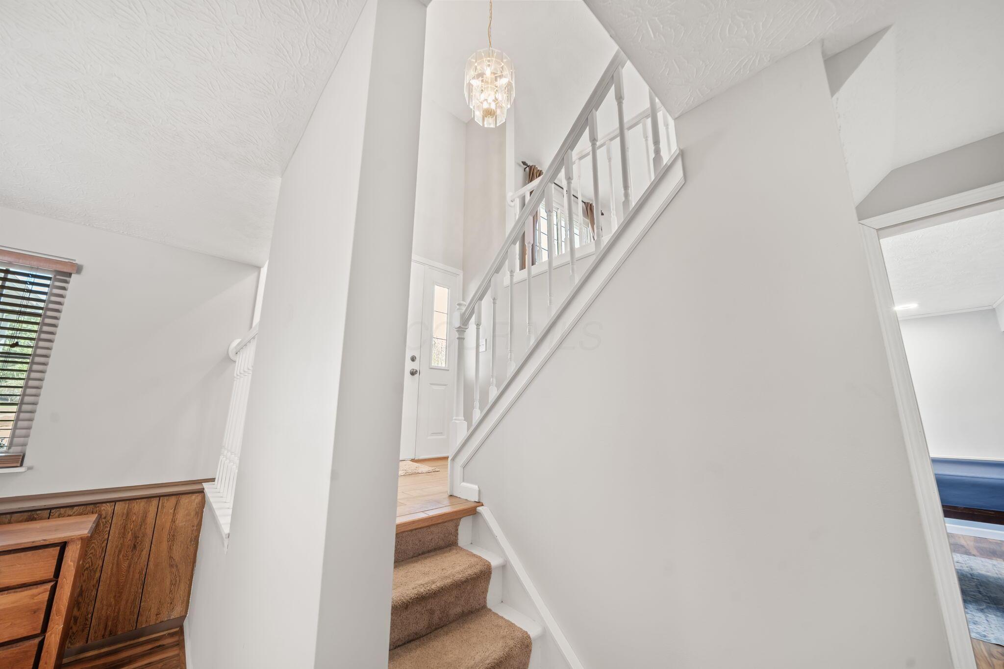 541 Saddletree Drive