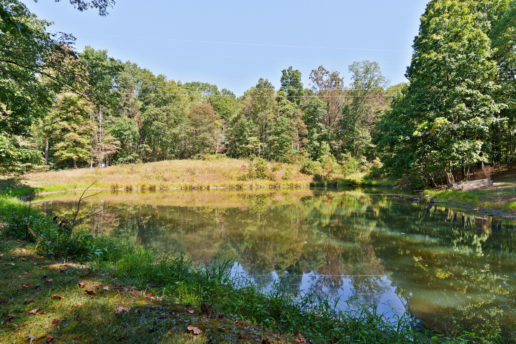 24769 Stein Road