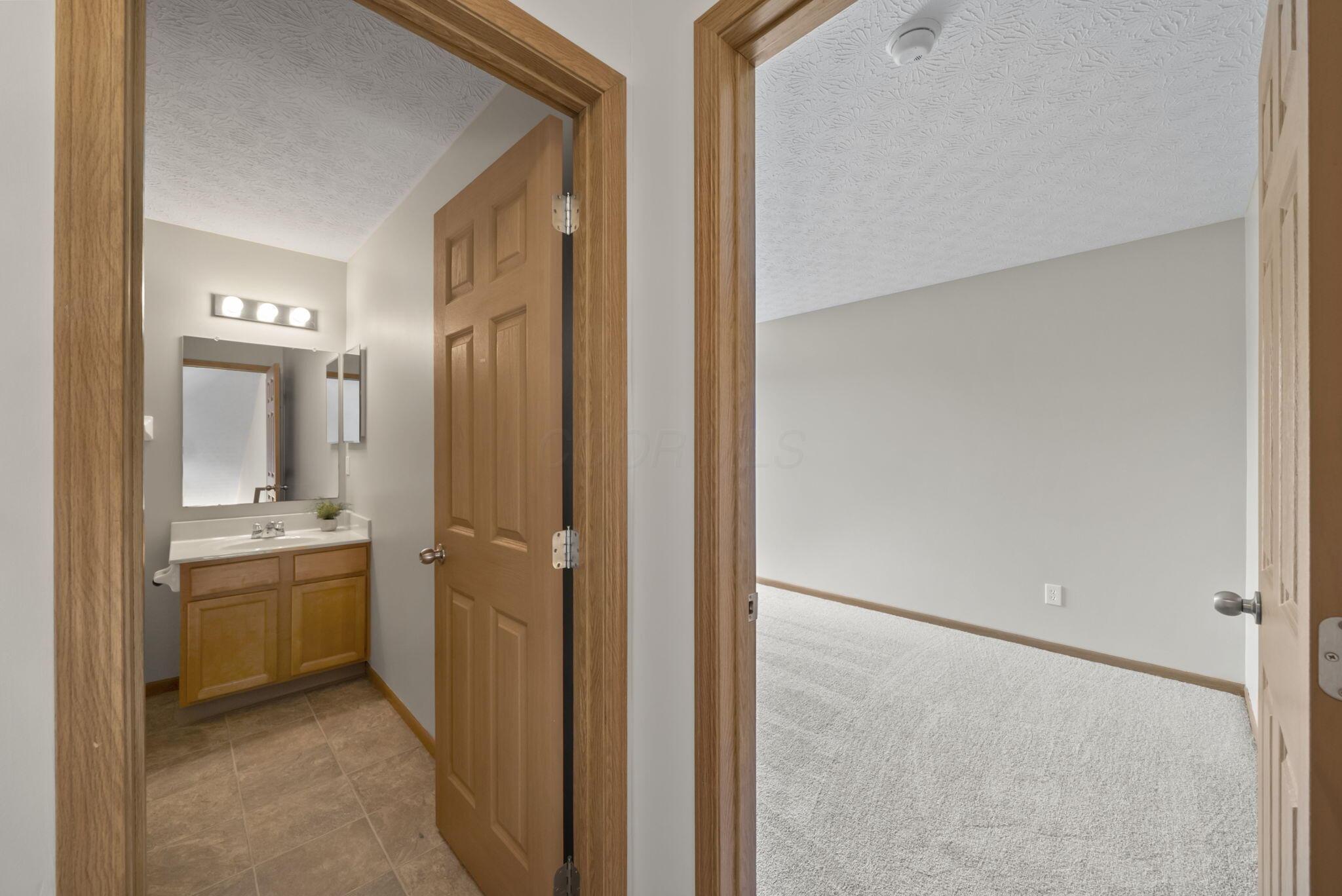 5541 Mossy Creek Drive