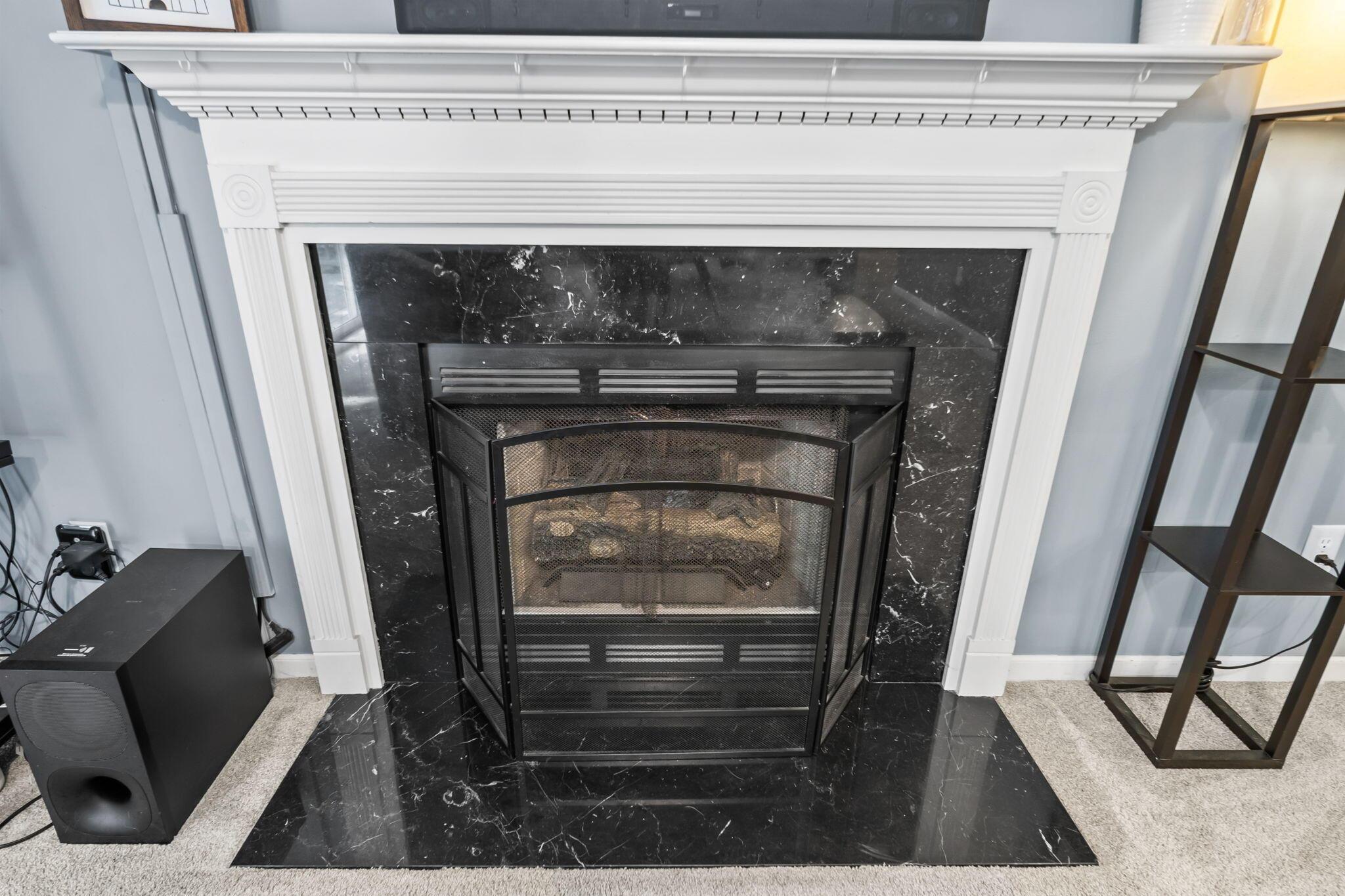 3643 Carriage Run Drive