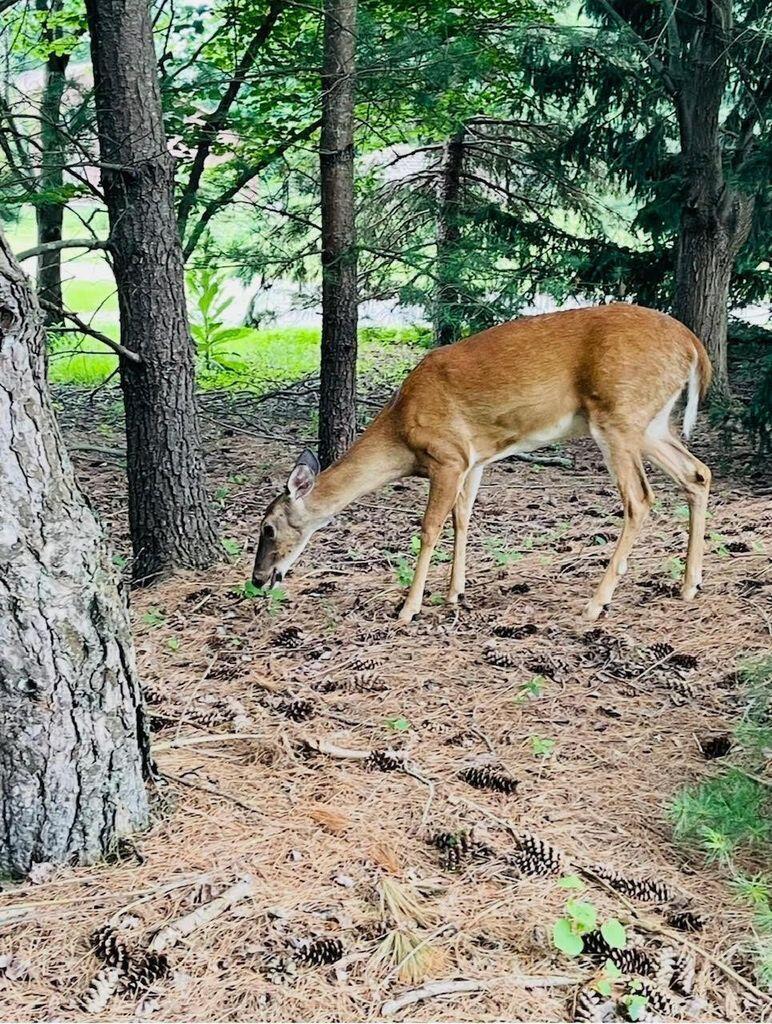 5386 Medallion Drive W, Westerville