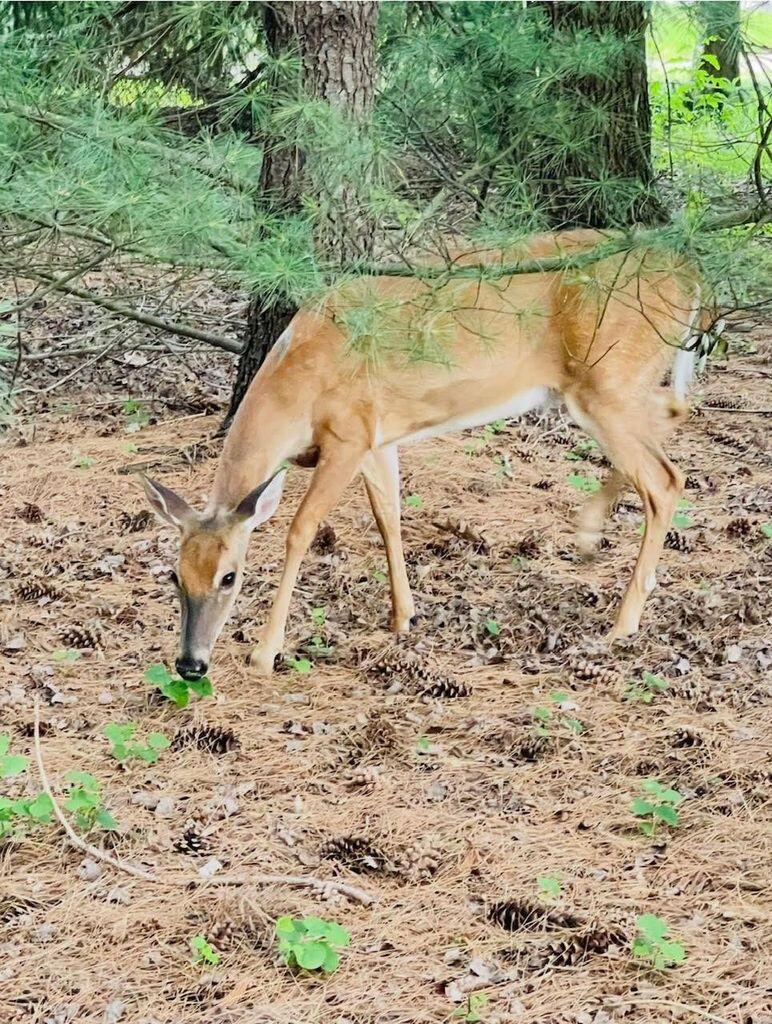 5386 Medallion Drive W, Westerville