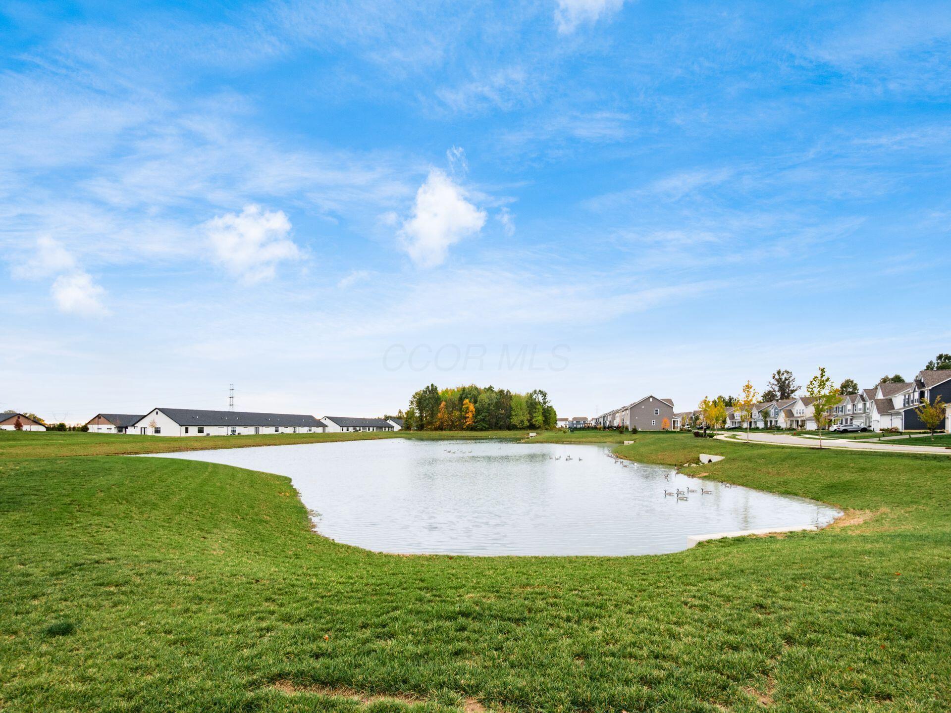 3696 Old Glory Loop, Powell