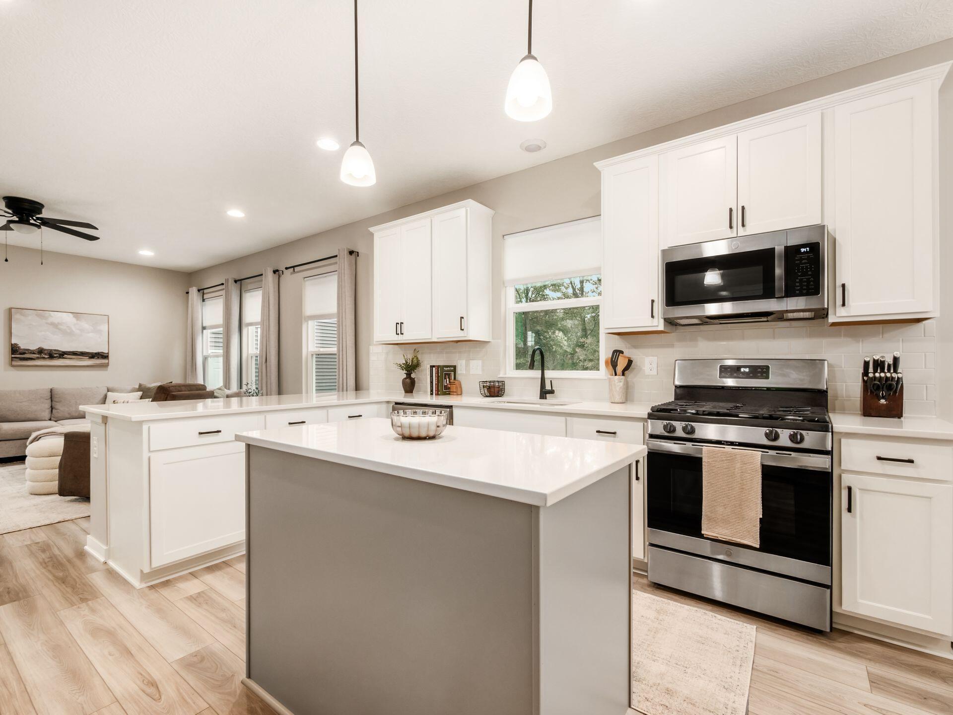 3696 Old Glory Loop, Powell