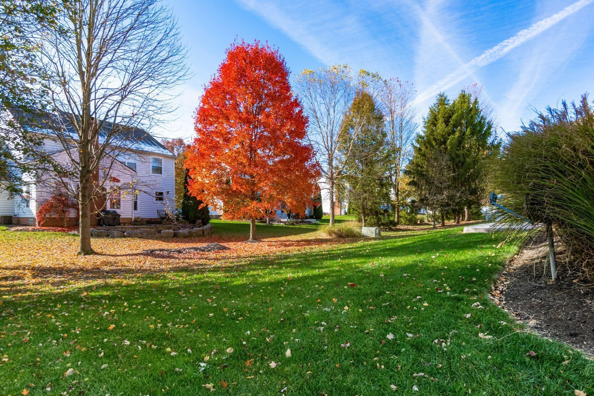 5114 Thornwood Drive