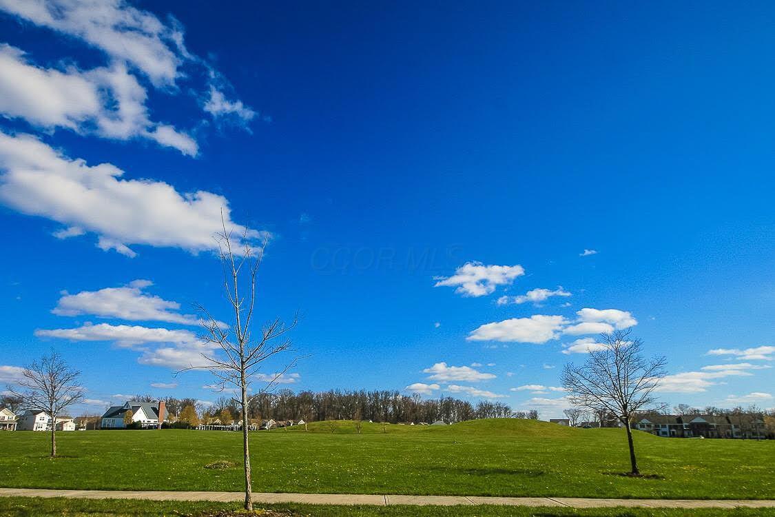 5904 Winebrook Drive