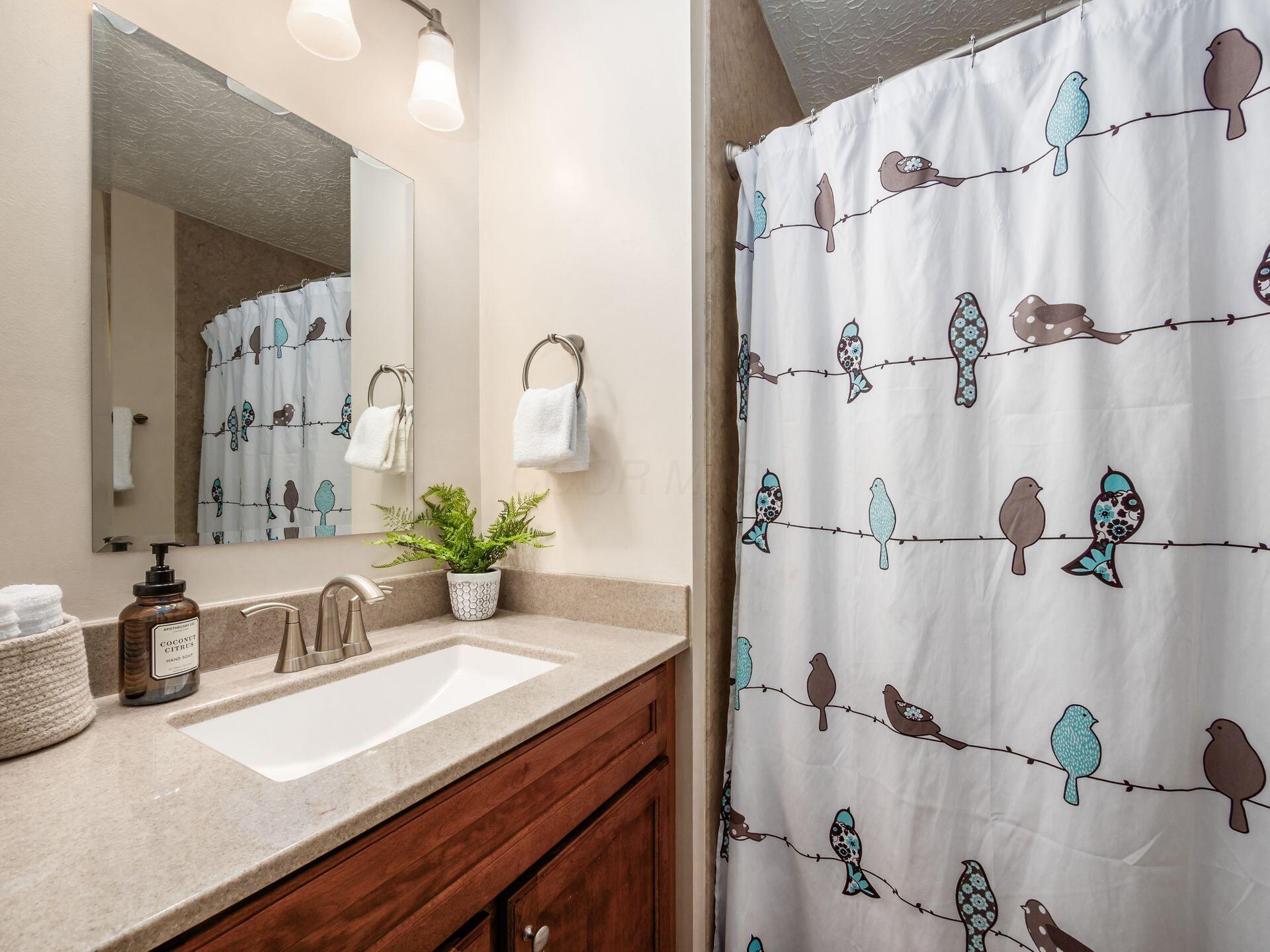 6876 Spruce Pine Drive