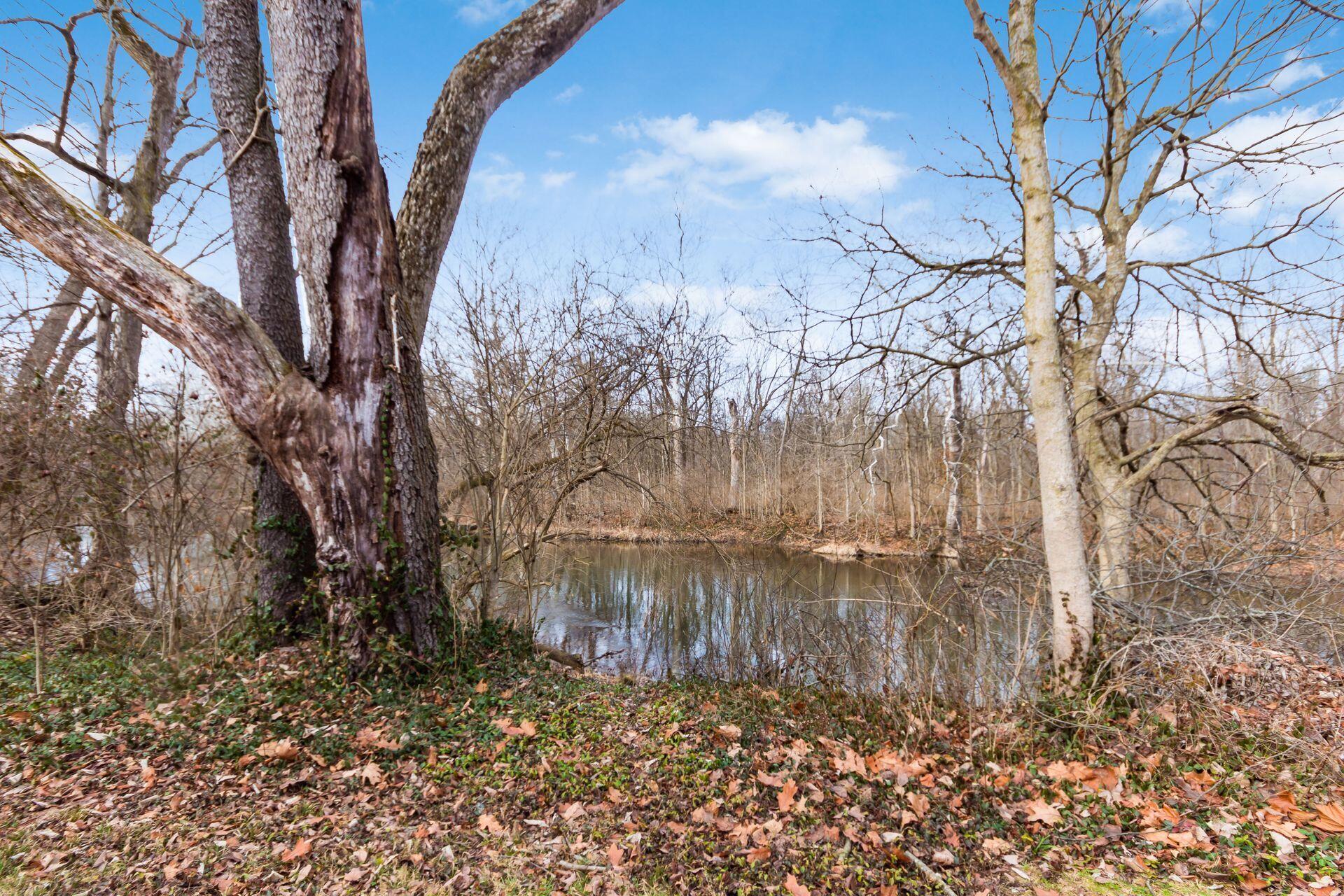 5463 Walnut View Boulevard