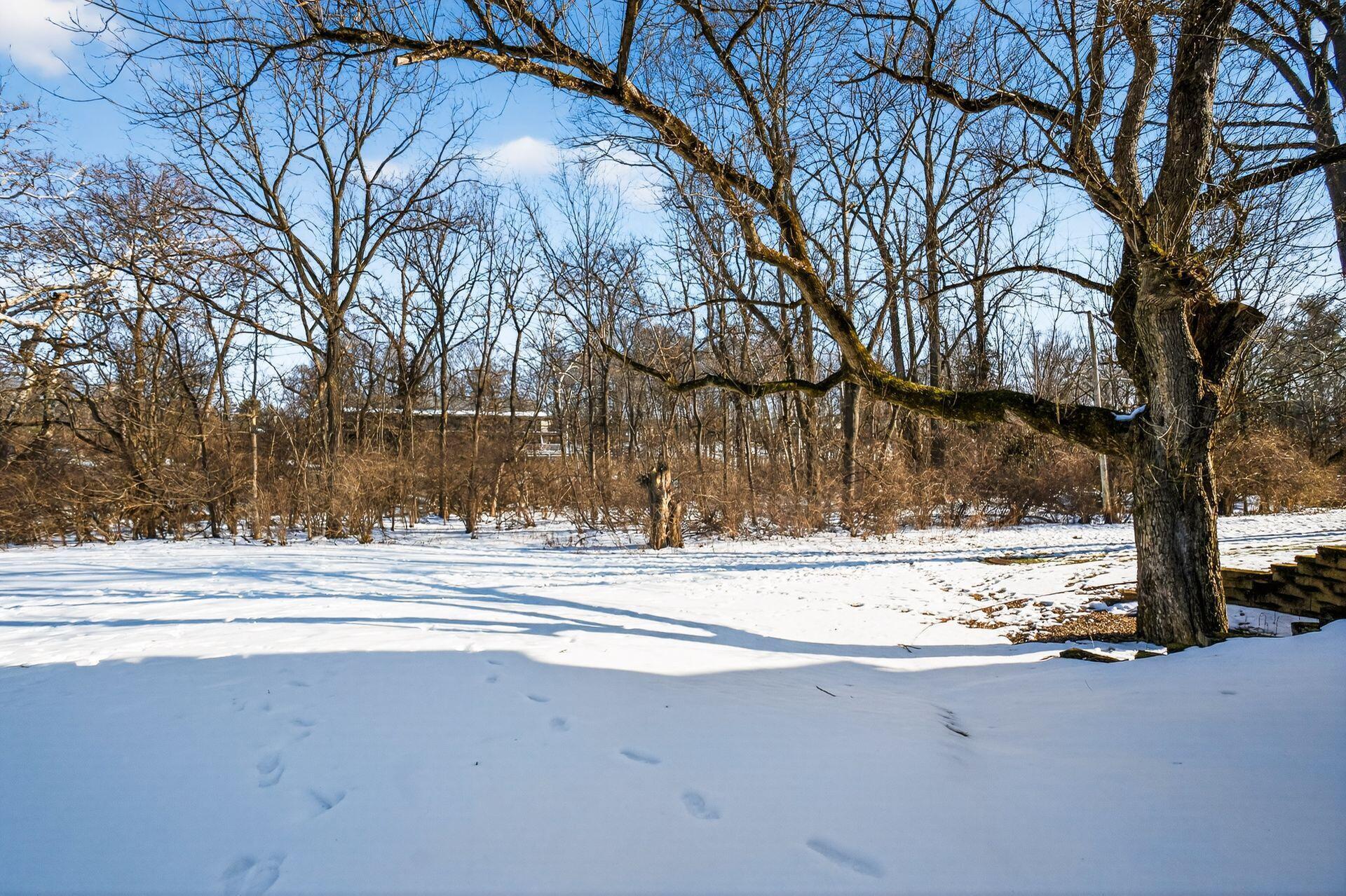 1240 Spring Brook Court, 19