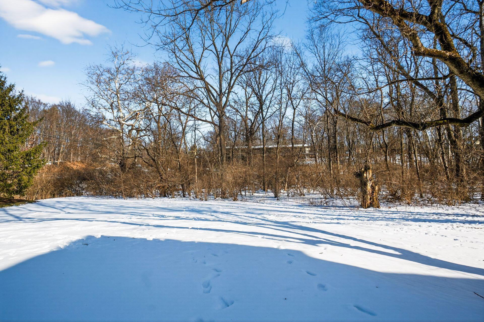 1240 Spring Brook Court, 19