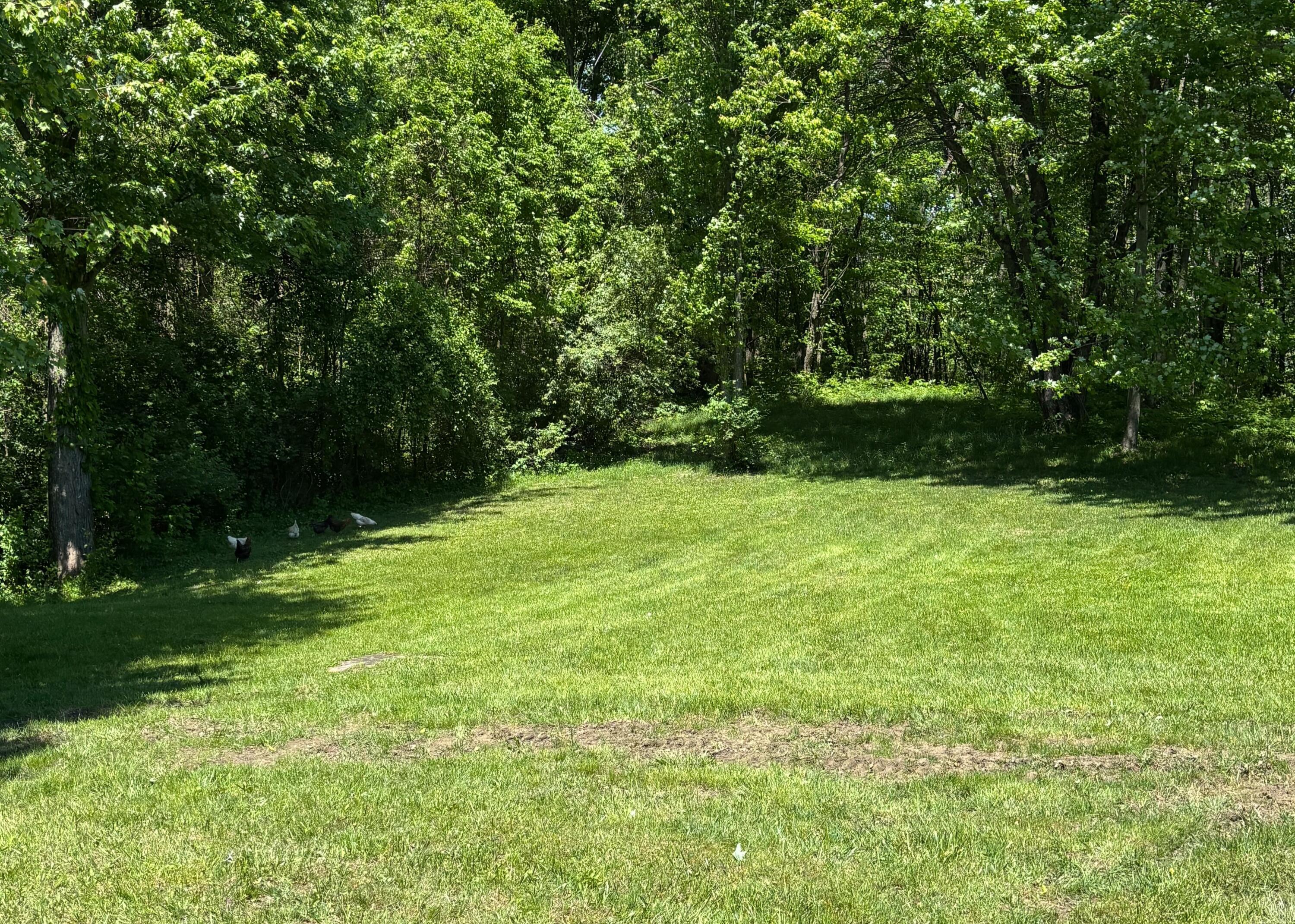 7020 Sportsman Club Road NW