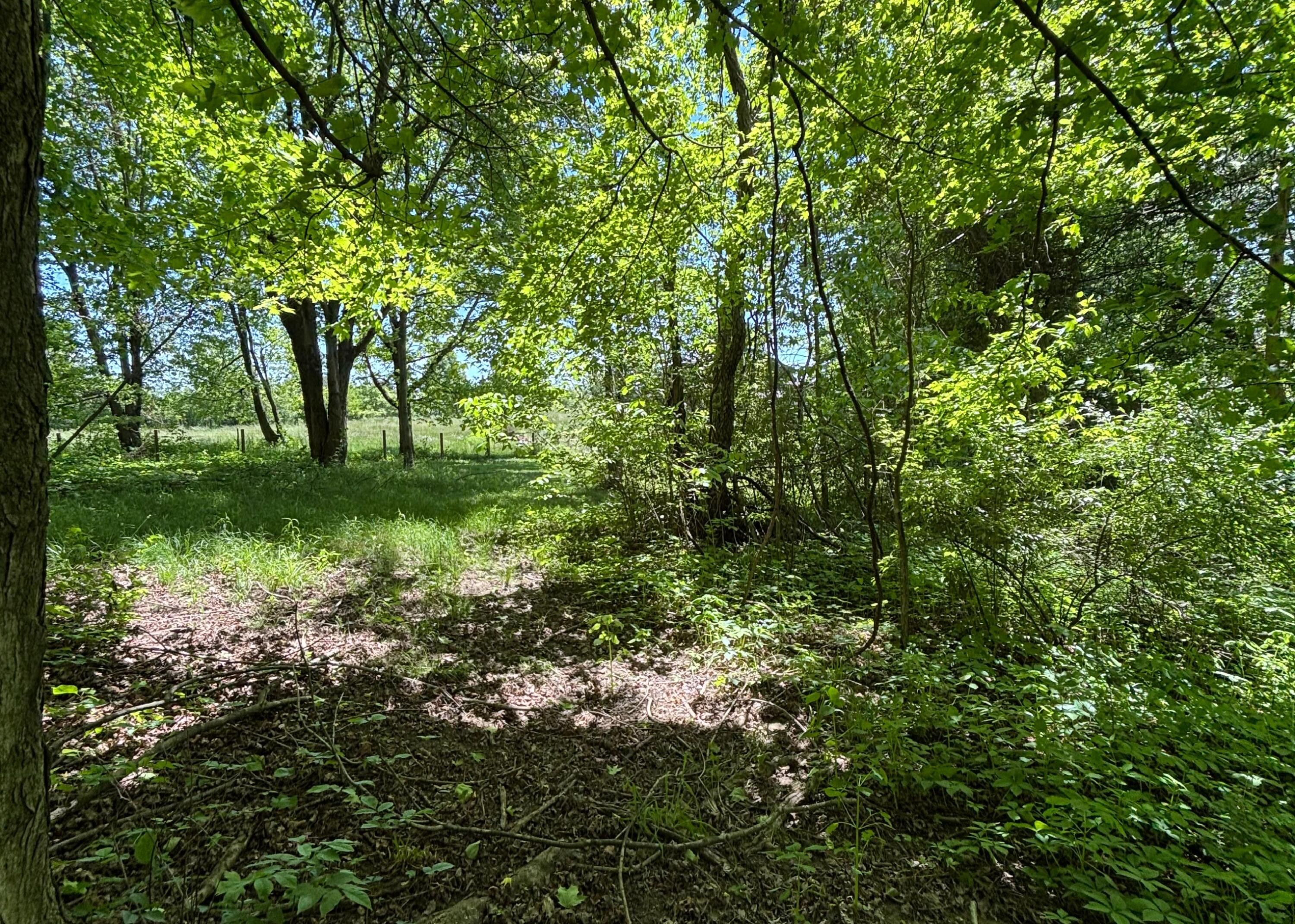 7020 Sportsman Club Road NW