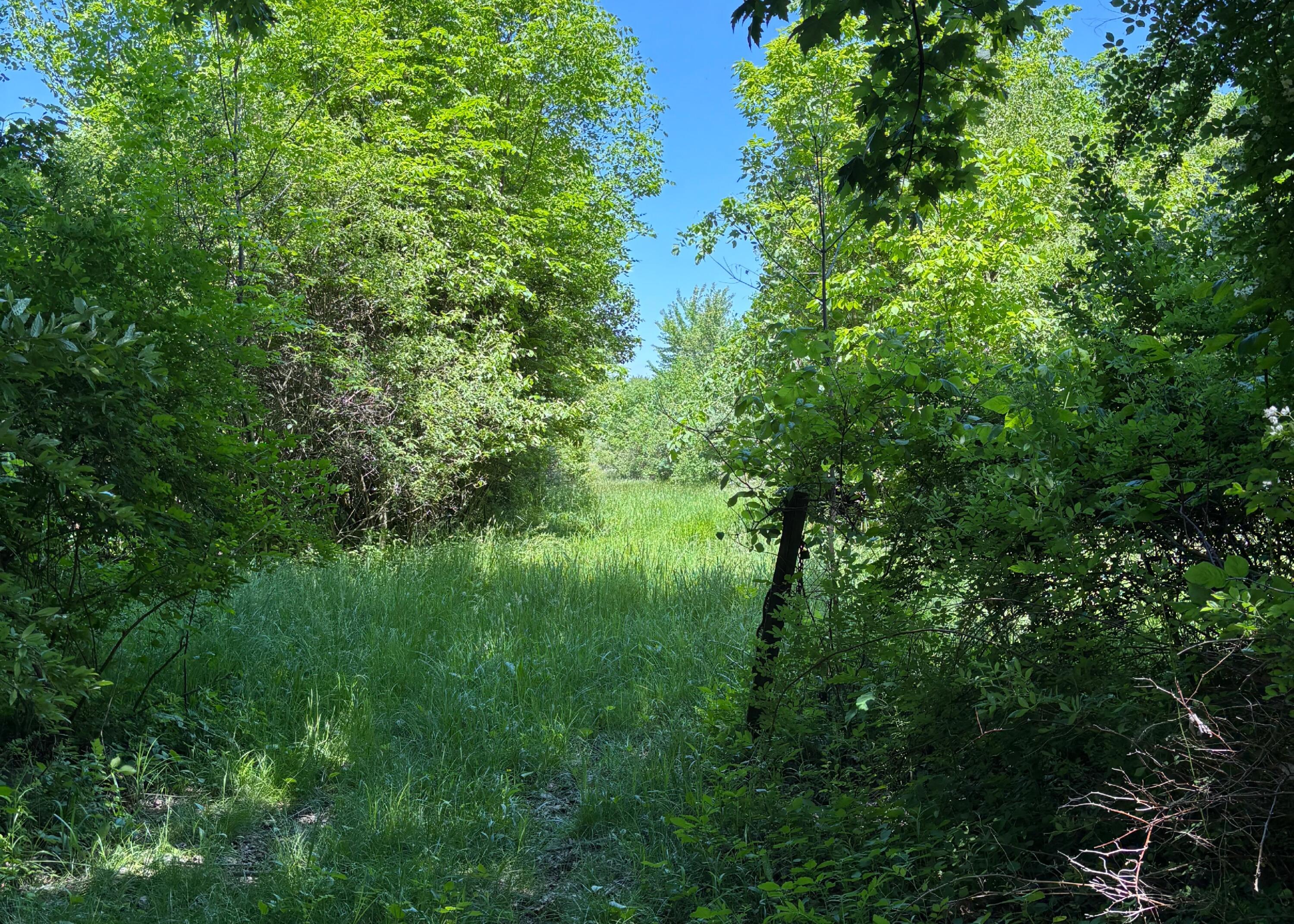 7020 Sportsman Club Road NW