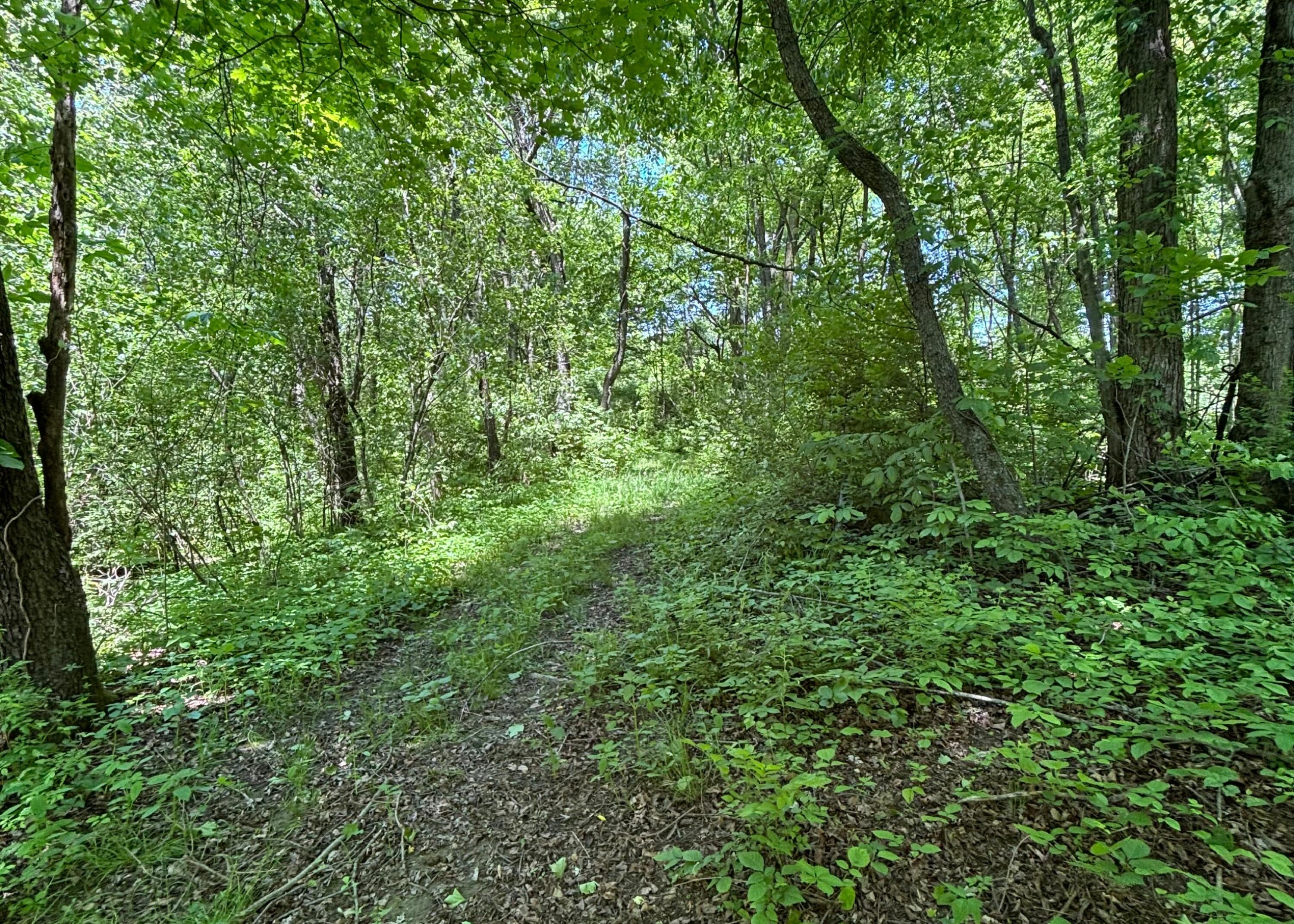 7020 Sportsman Club Road NW