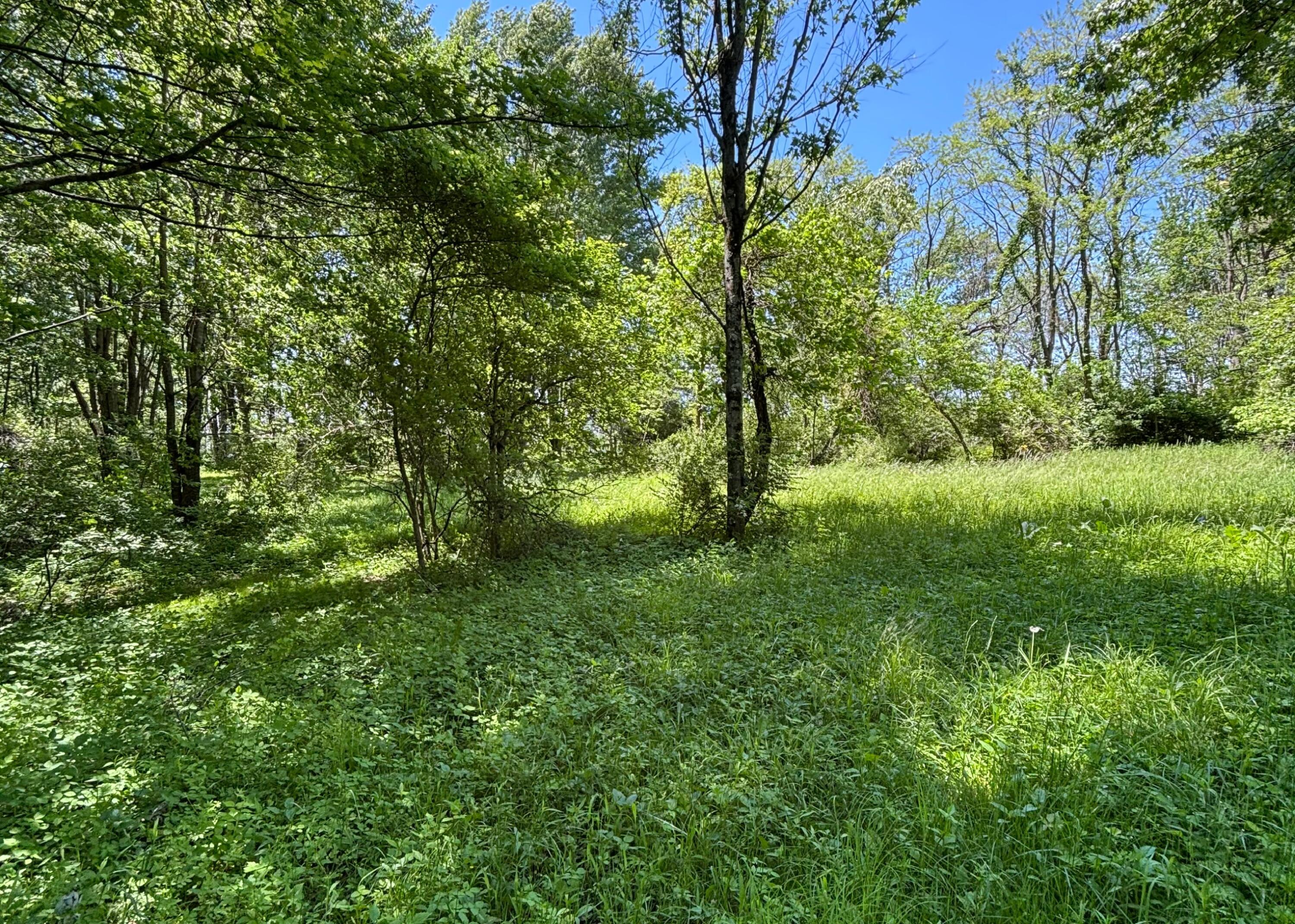 7020 Sportsman Club Road NW