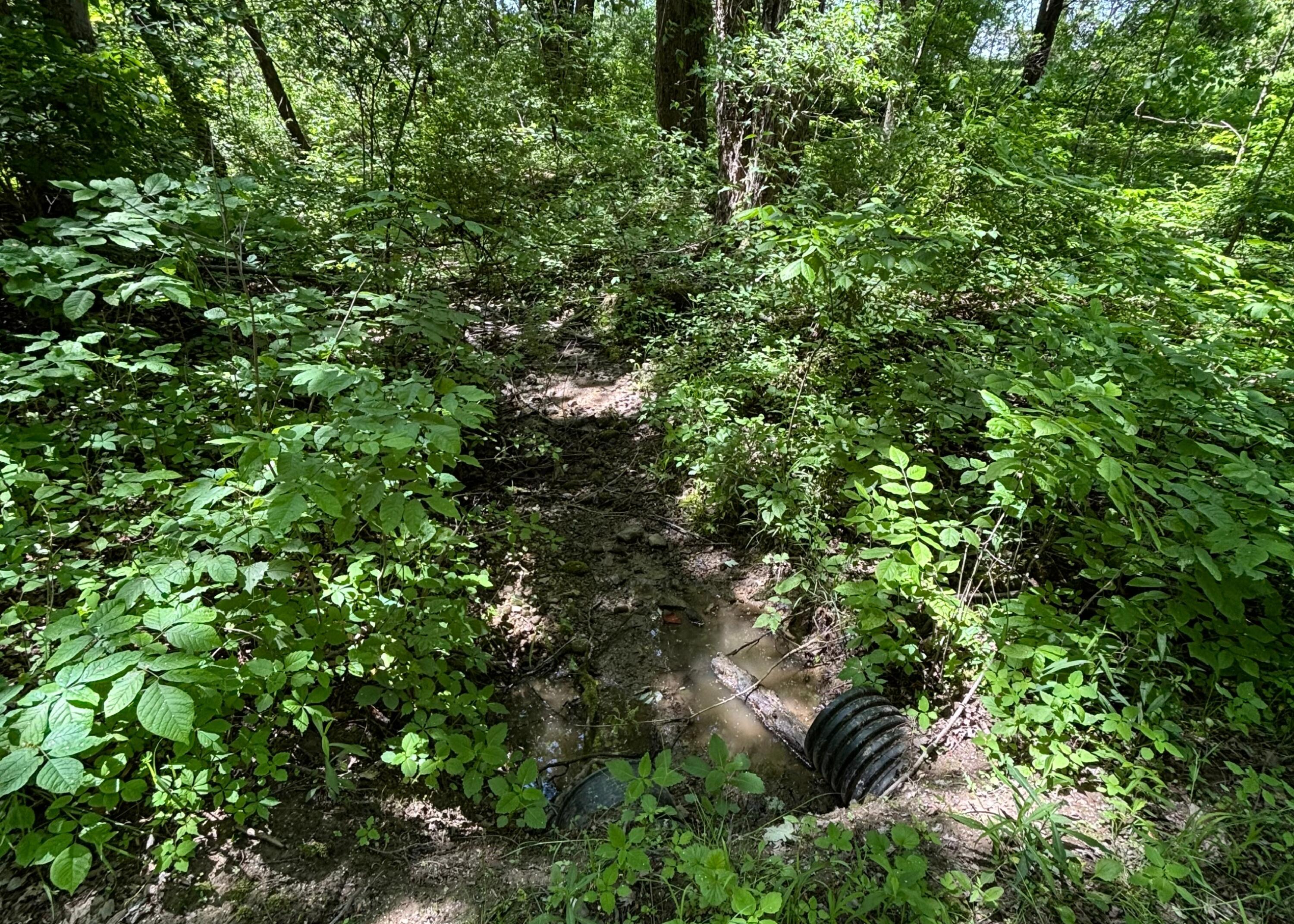 7020 Sportsman Club Road NW