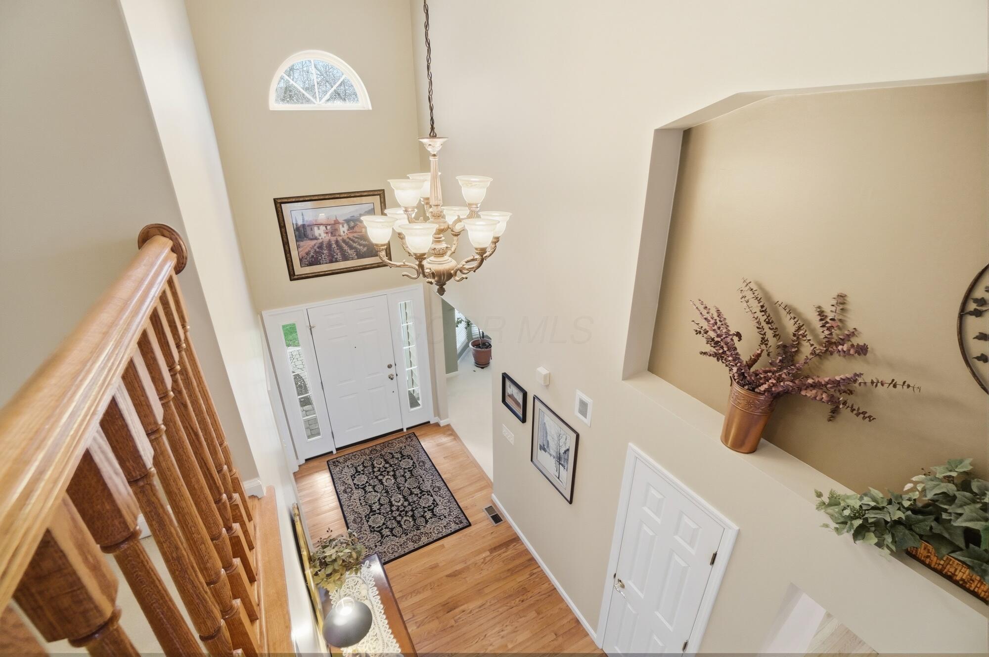 7134 Nightshade Drive
