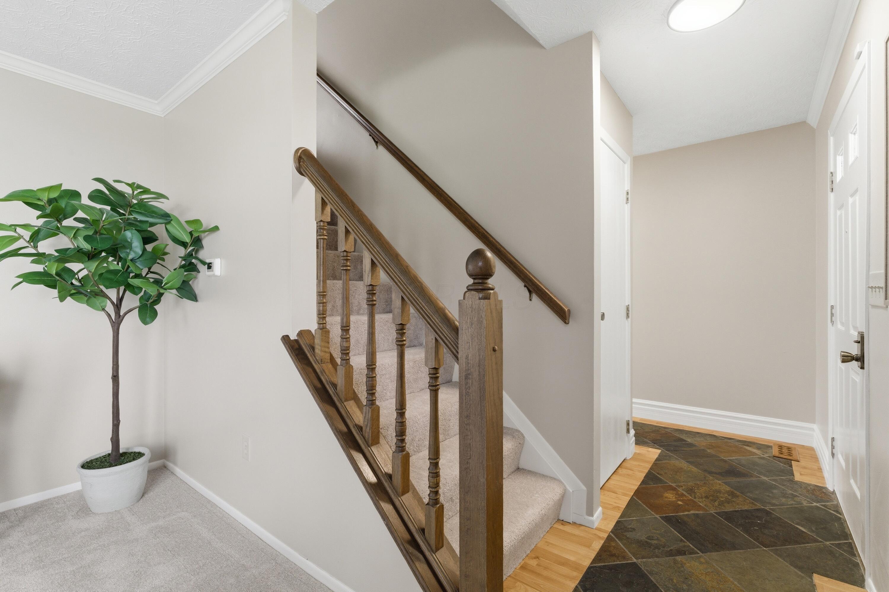 208 Rugby Lane