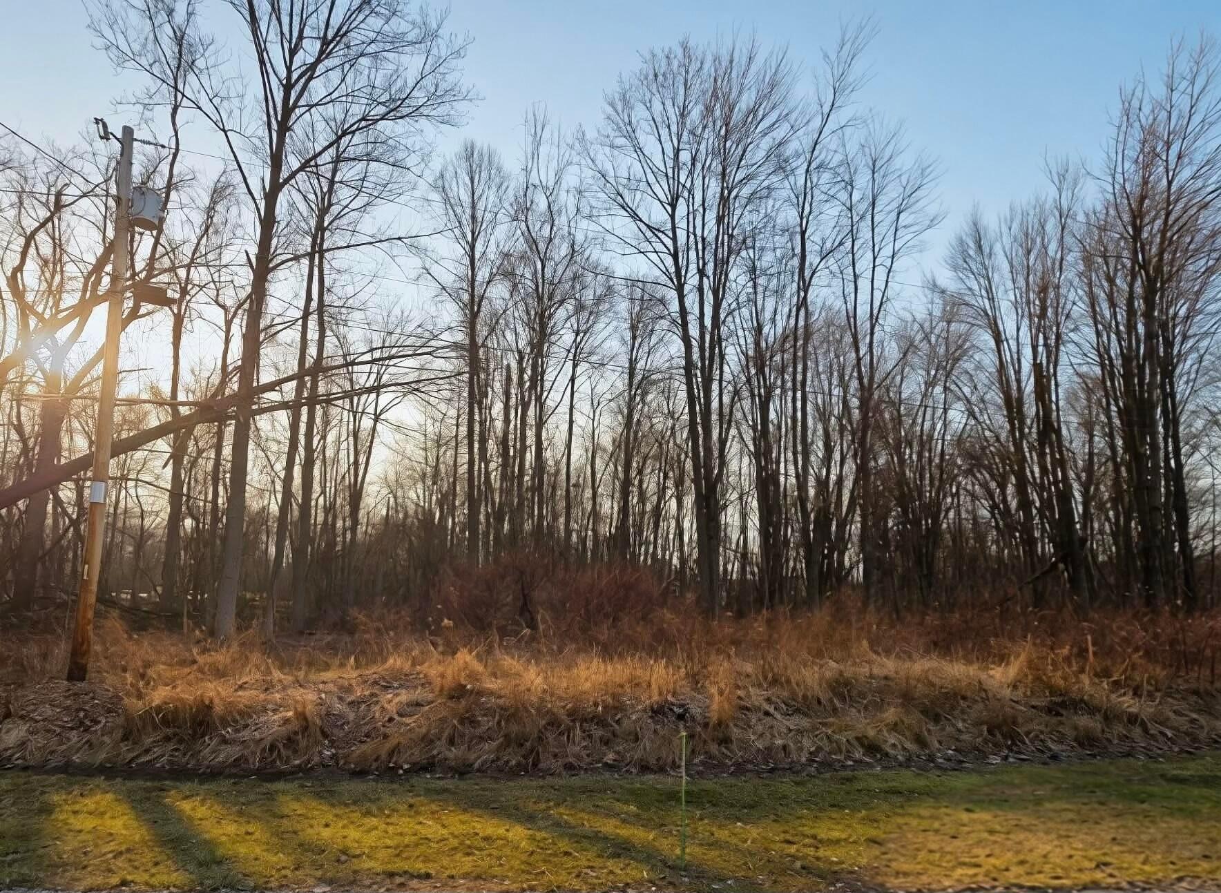 7326 State Route 19, ,Unit 7, Lot 310