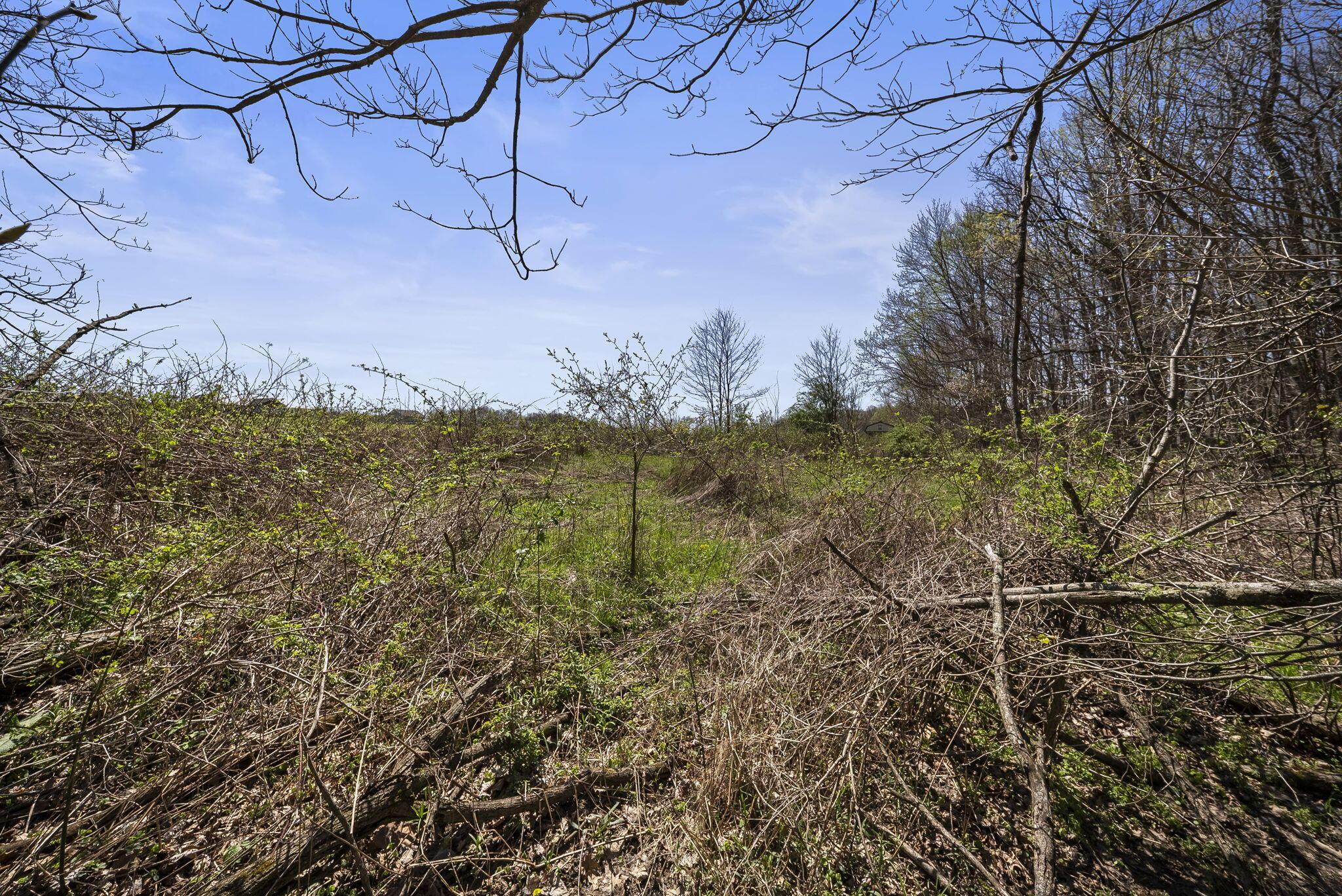 3763 Maxwell Road
