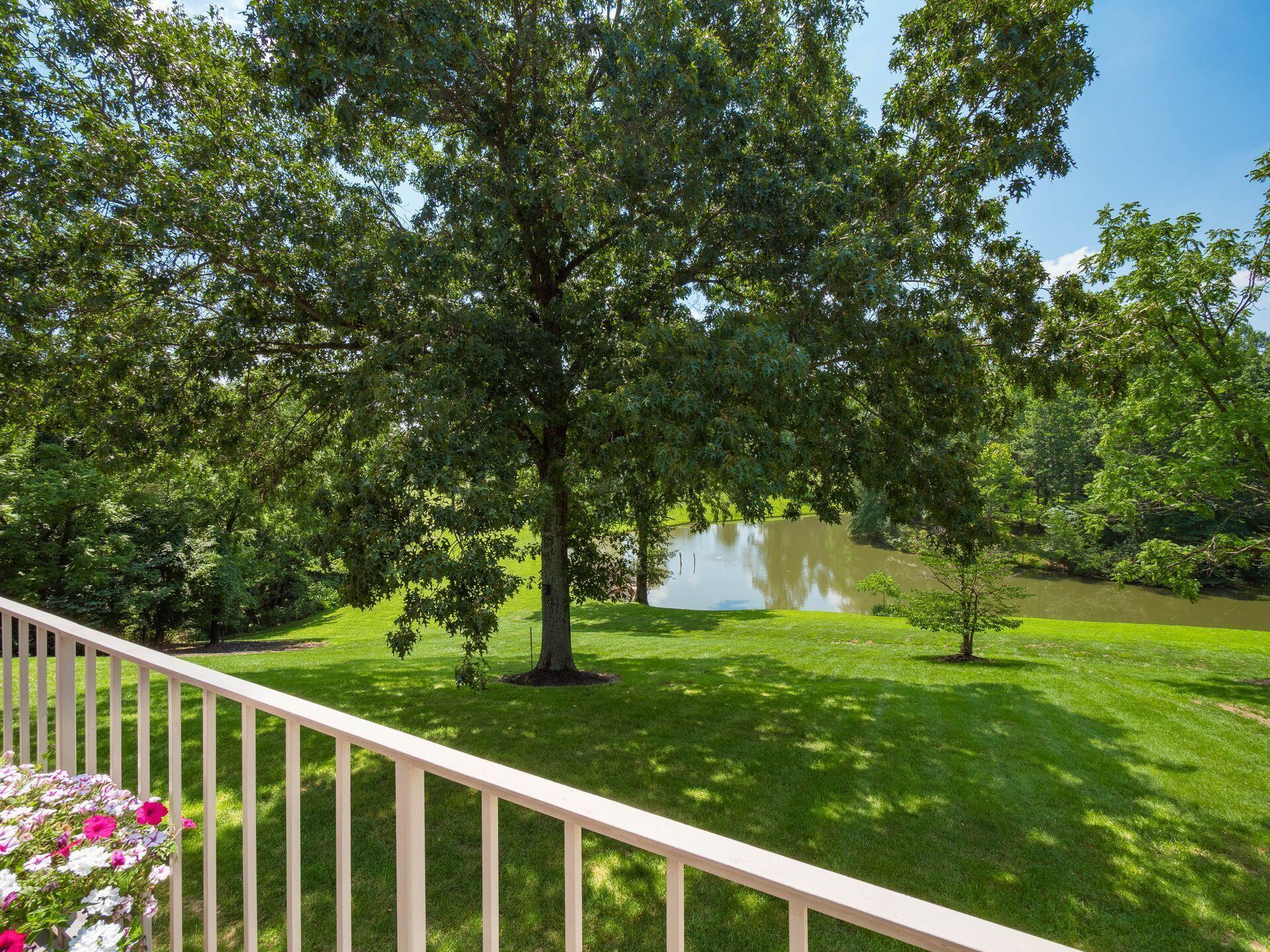 236 Tom Corwin Road