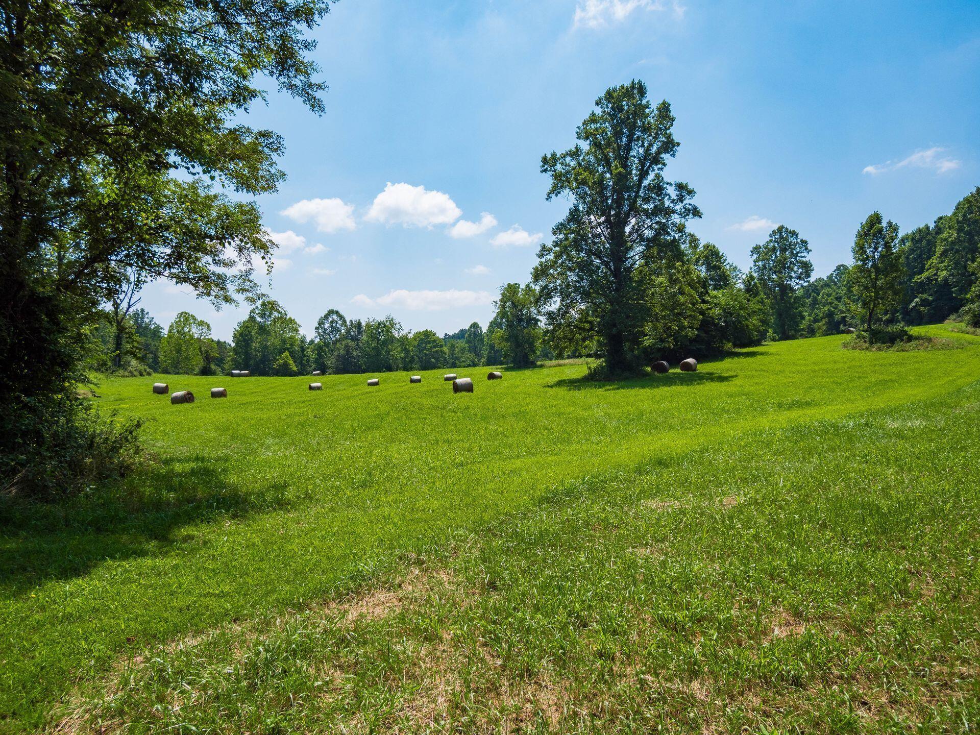 236 Tom Corwin Road