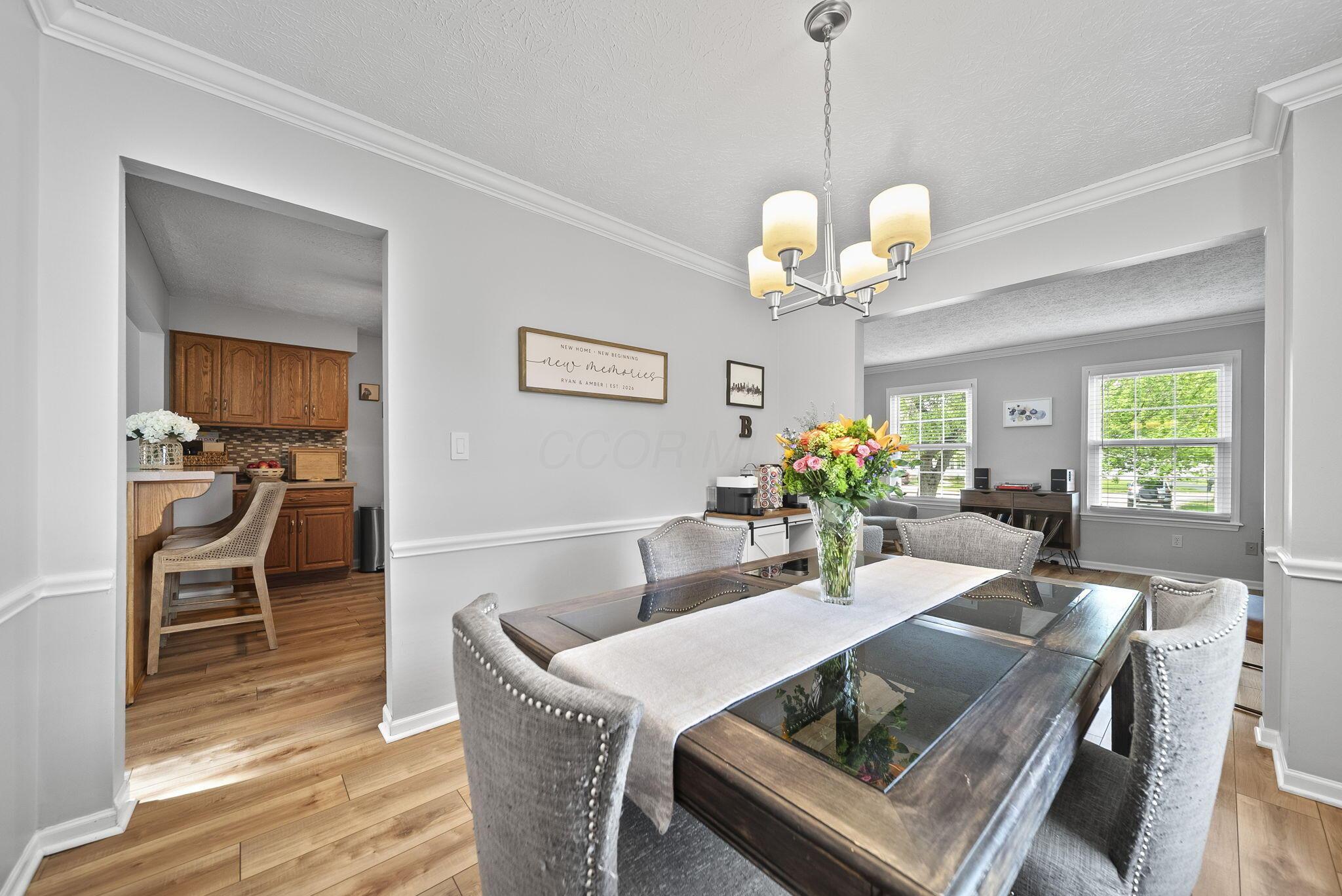 3851 Saddlebrook Court