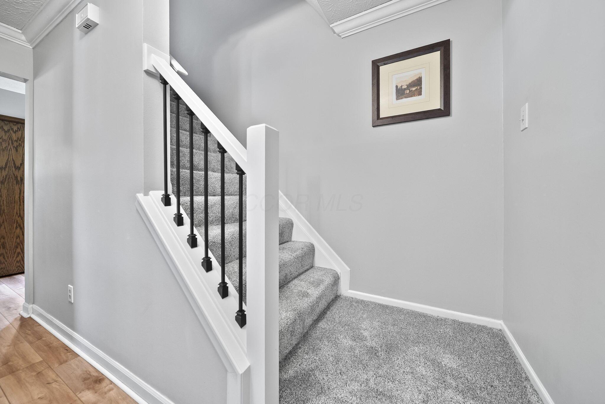 3851 Saddlebrook Court