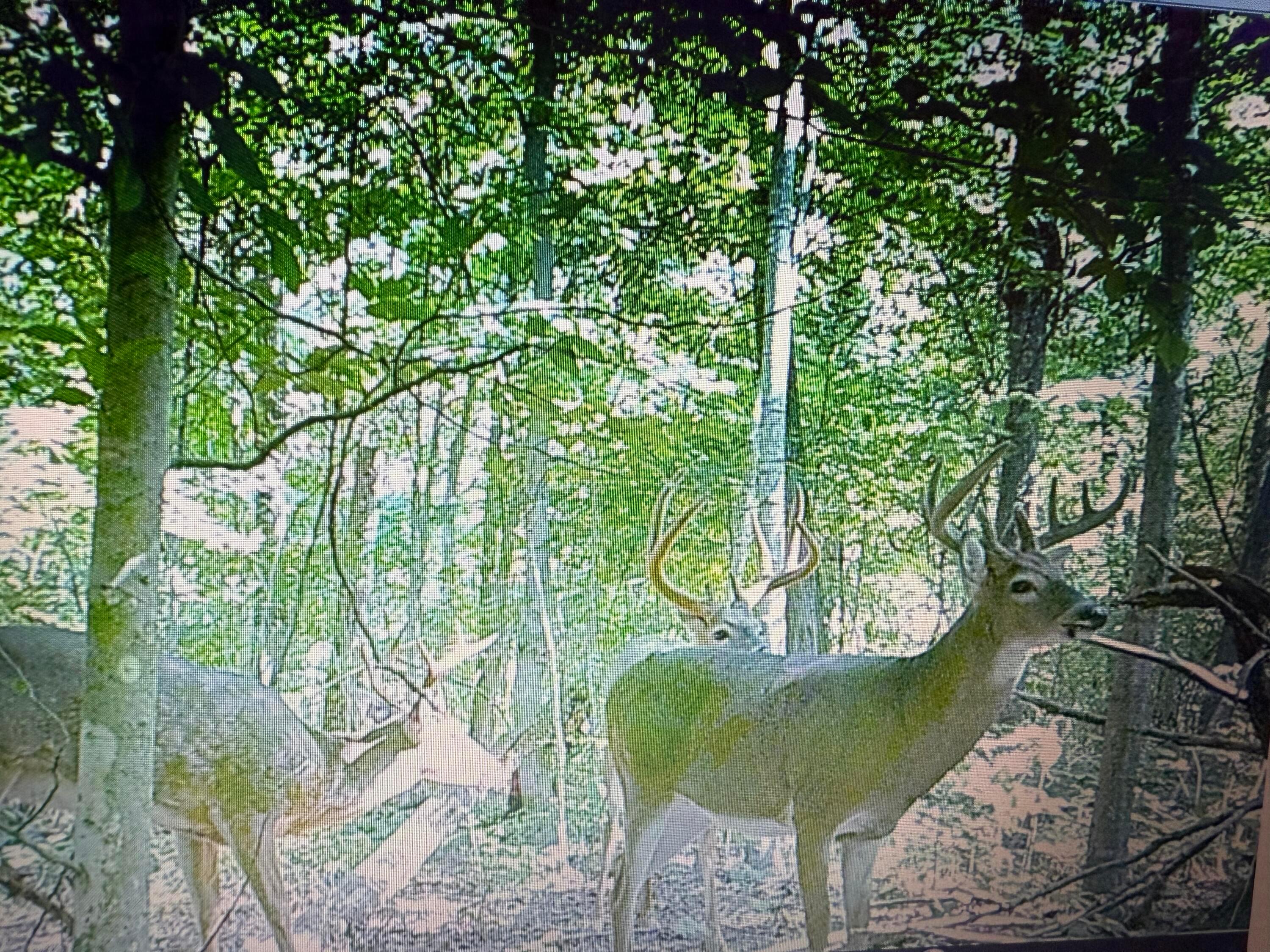 545 N County Line Road