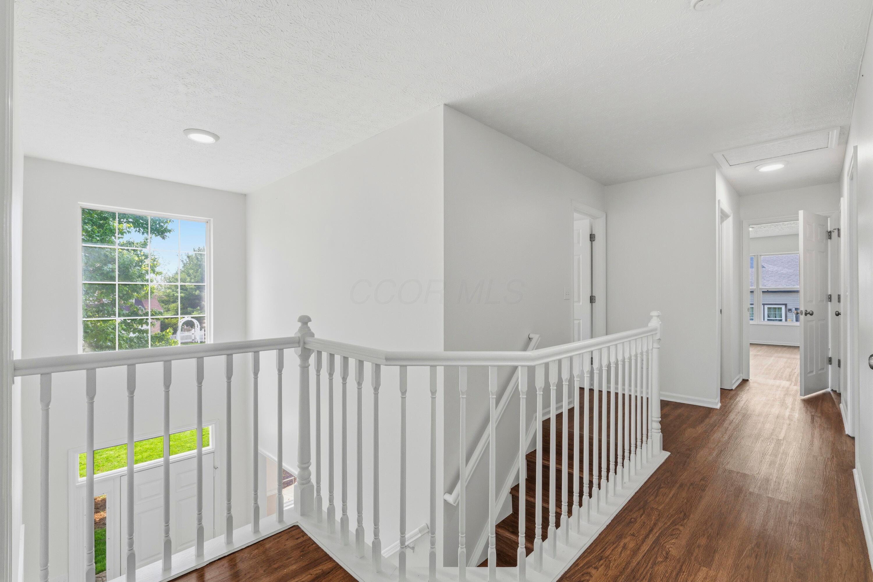 12478 Thoroughbred Drive