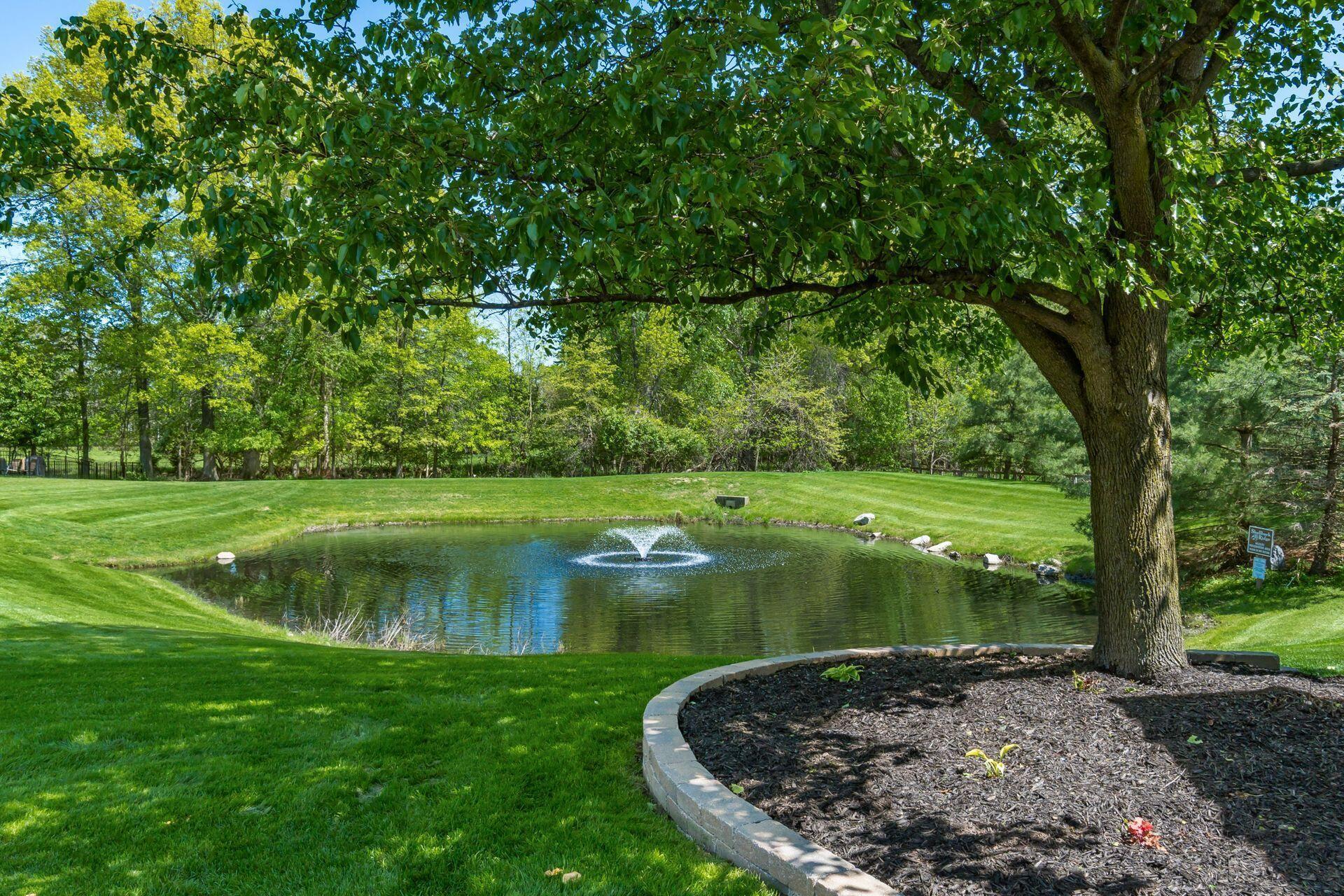 7439 Sand Spurrey Court