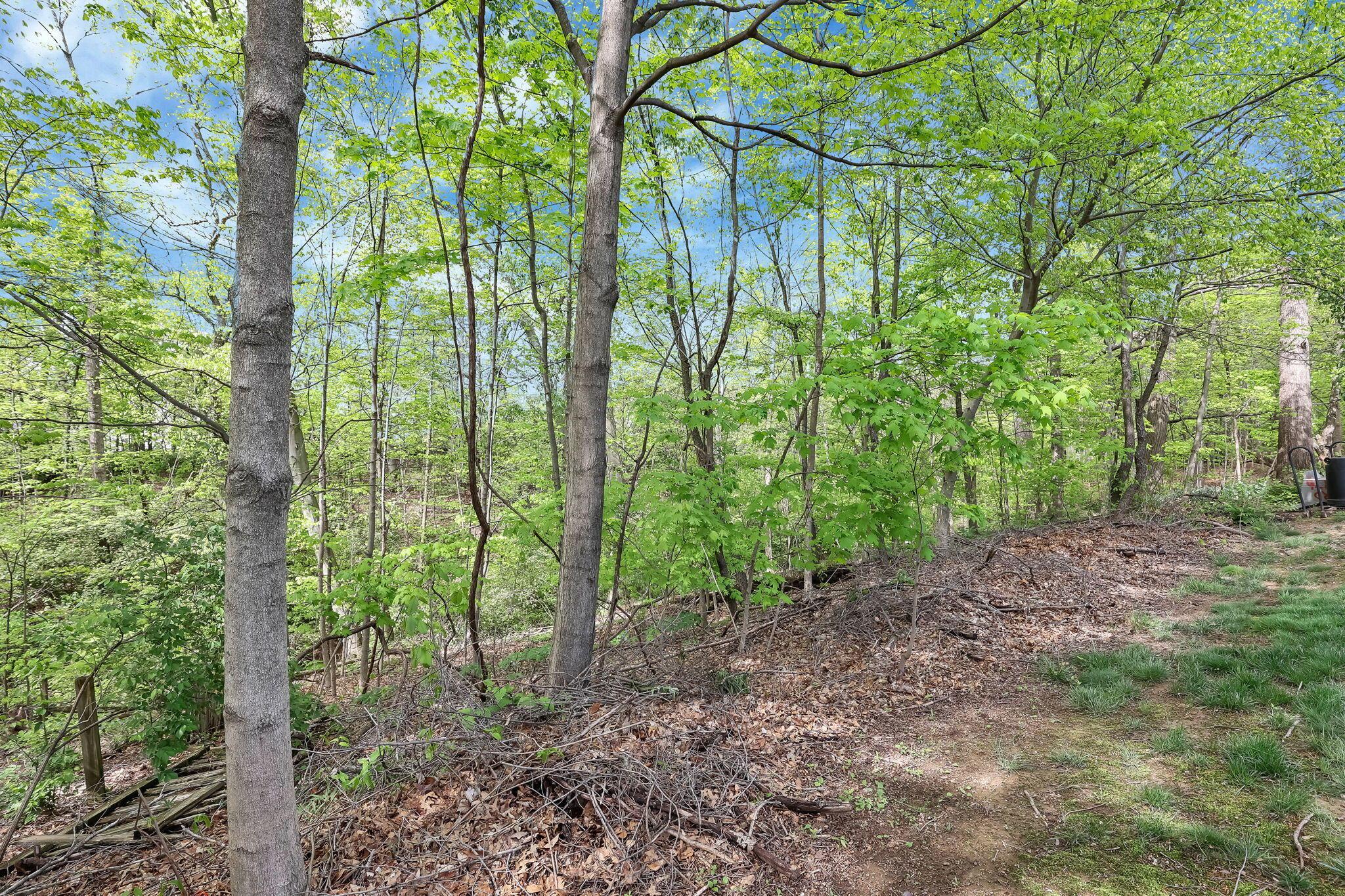 176 Highmeadow Drive