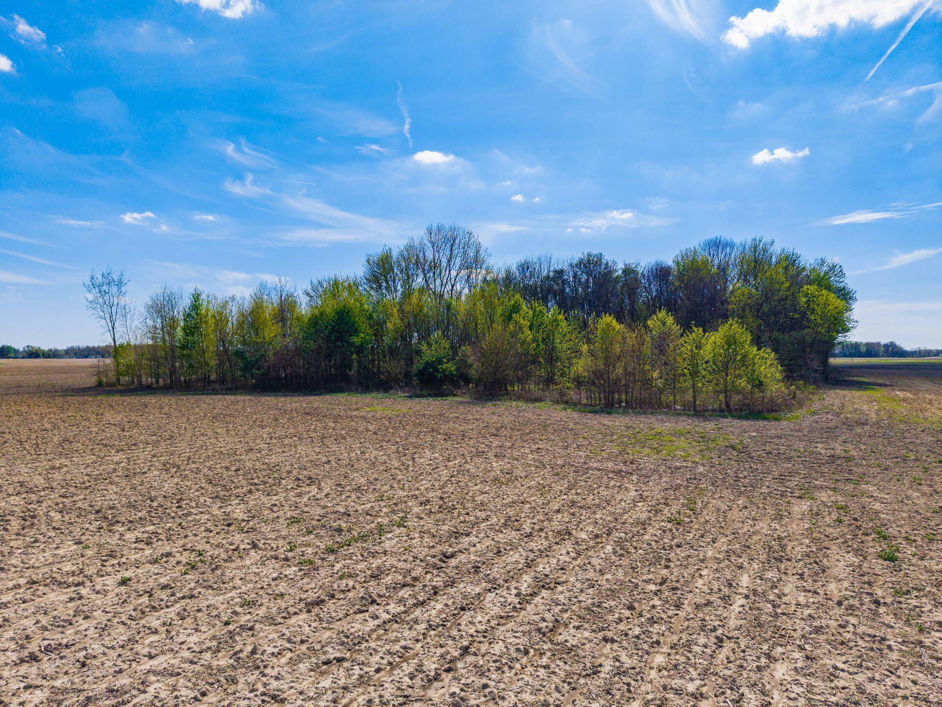 0 Fields Road