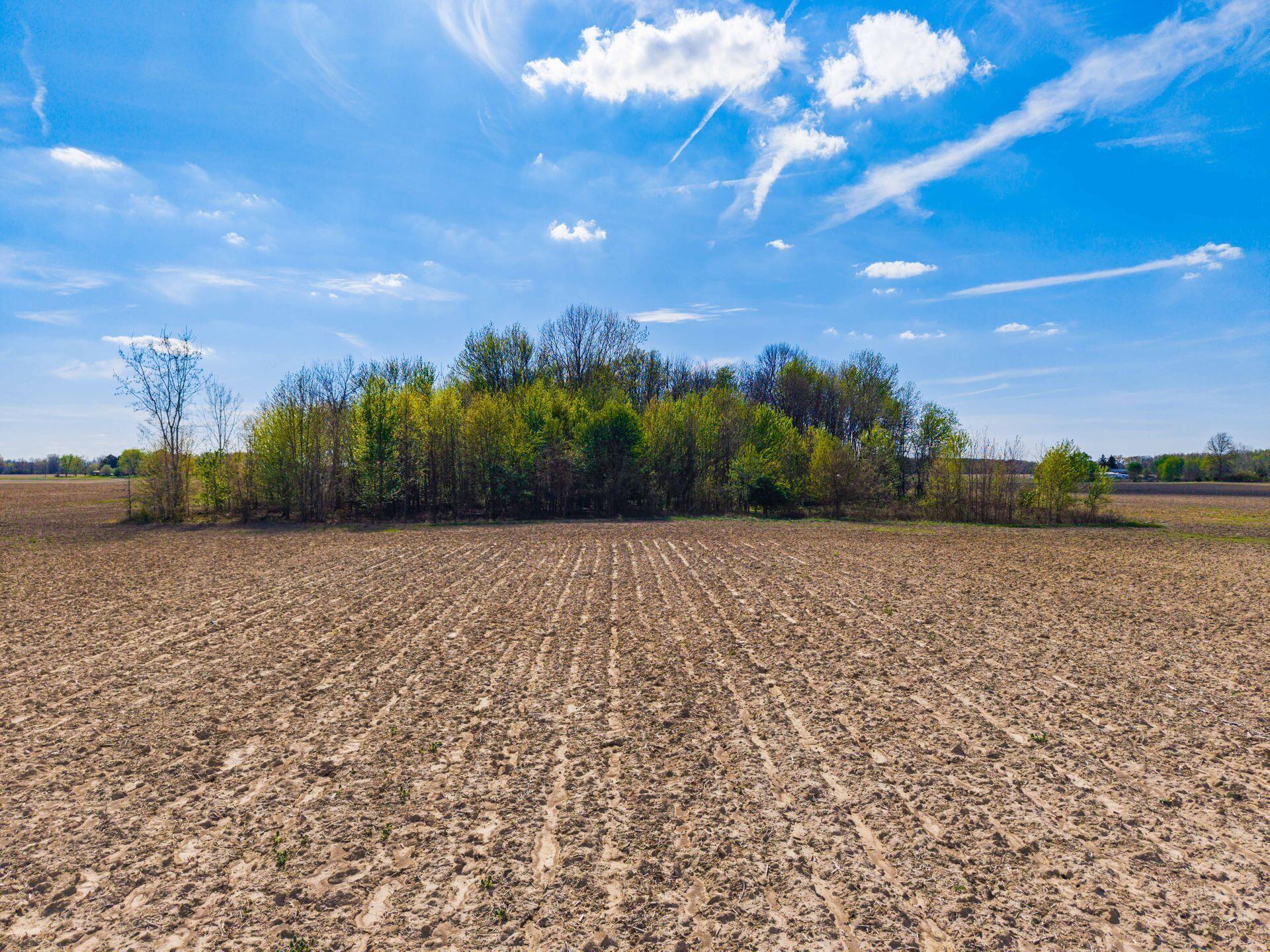 0 Fields Road