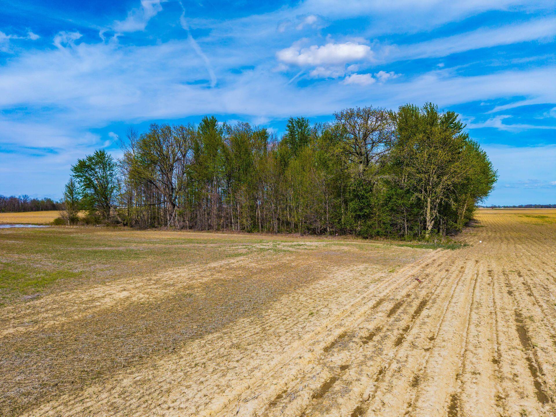 0 Fields Road