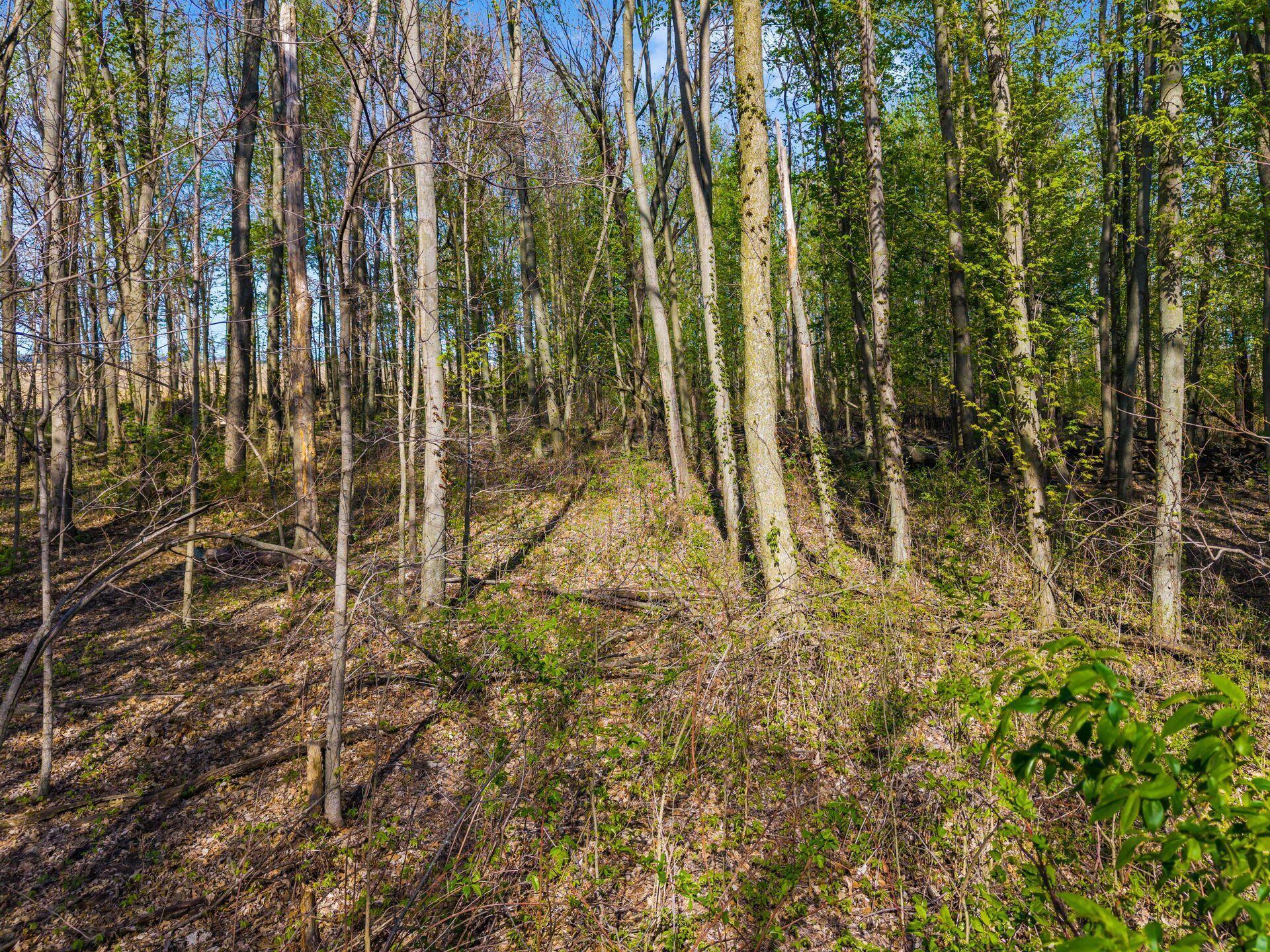 0 Fields Road
