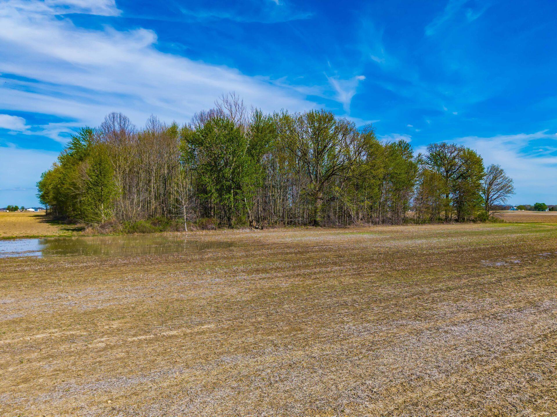 0 Fields Road