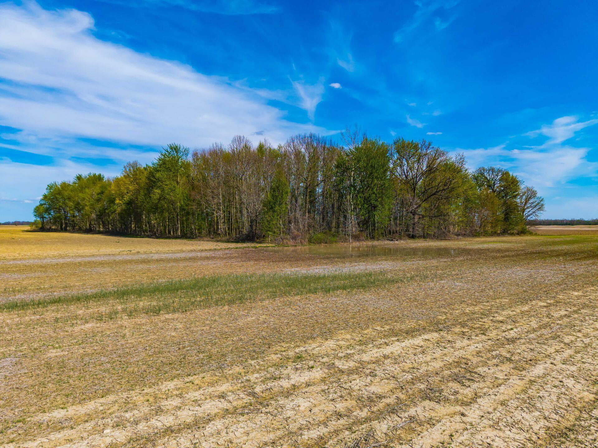 0 Fields Road