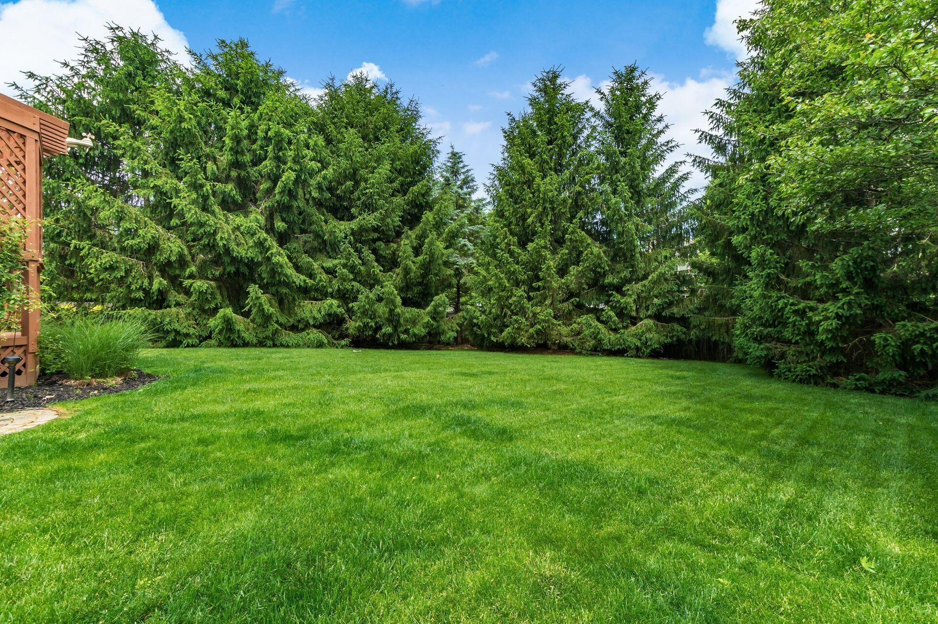 1465 Cottonwood Drive