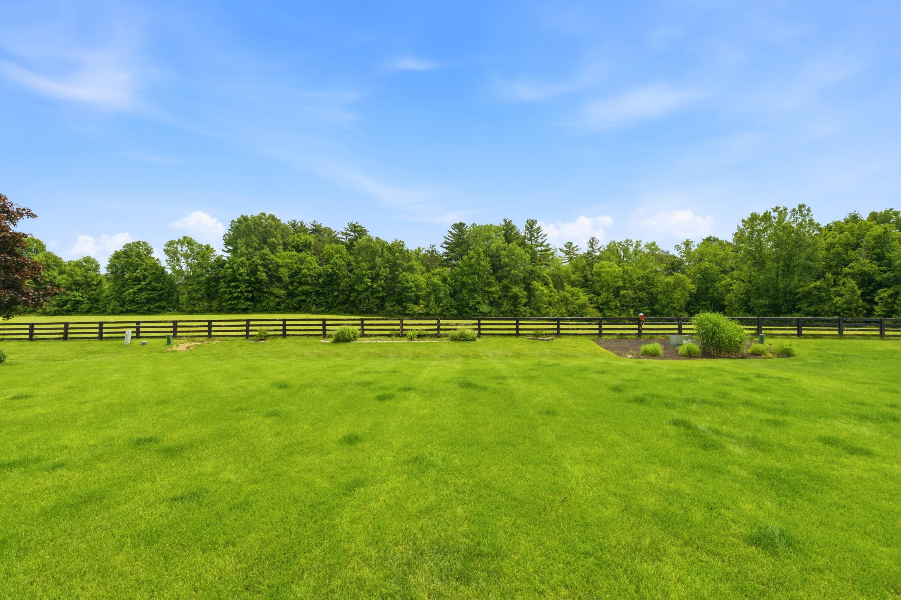 8282 Skelton Court