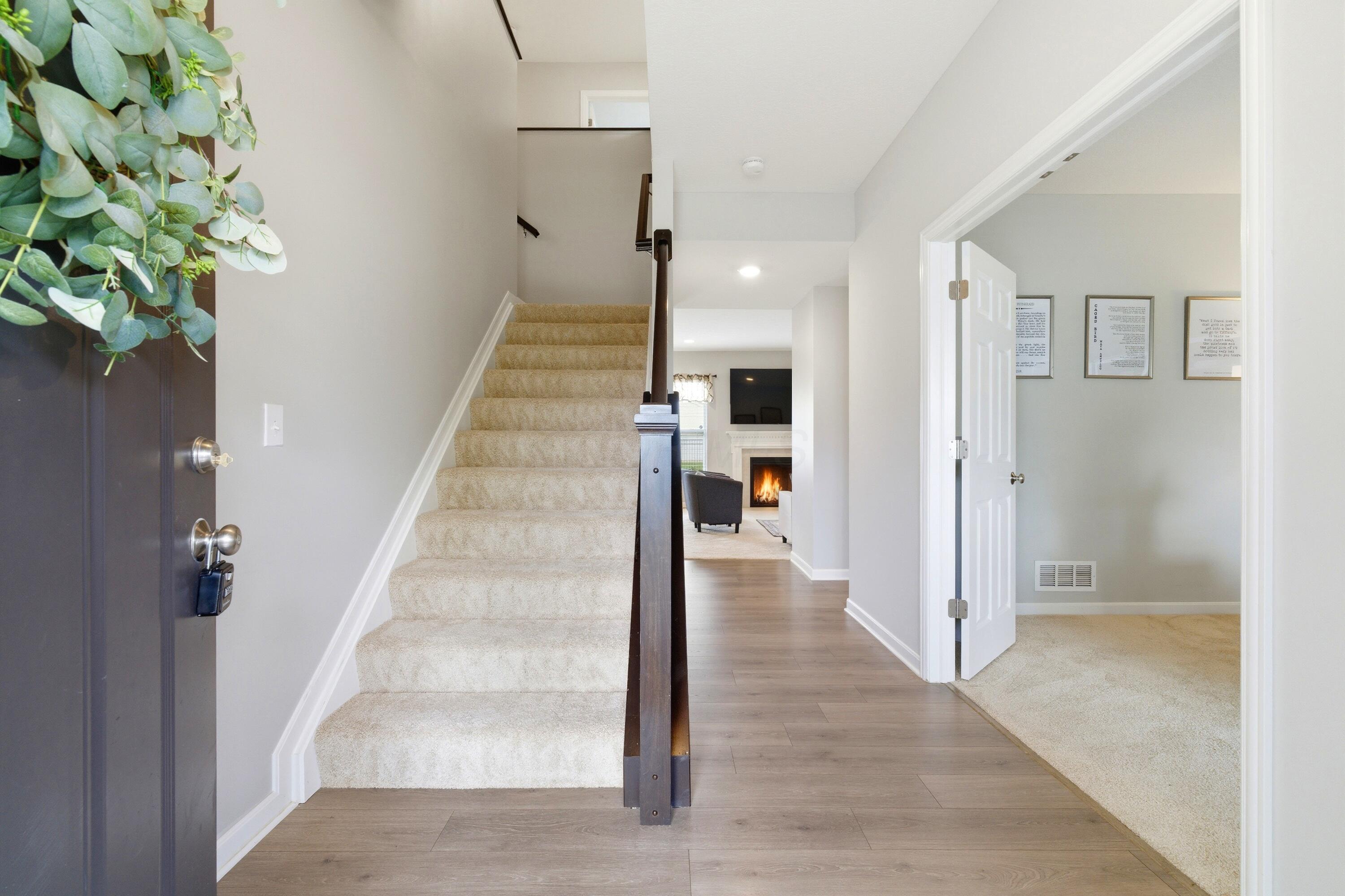 3102 Wolfbirch Drive