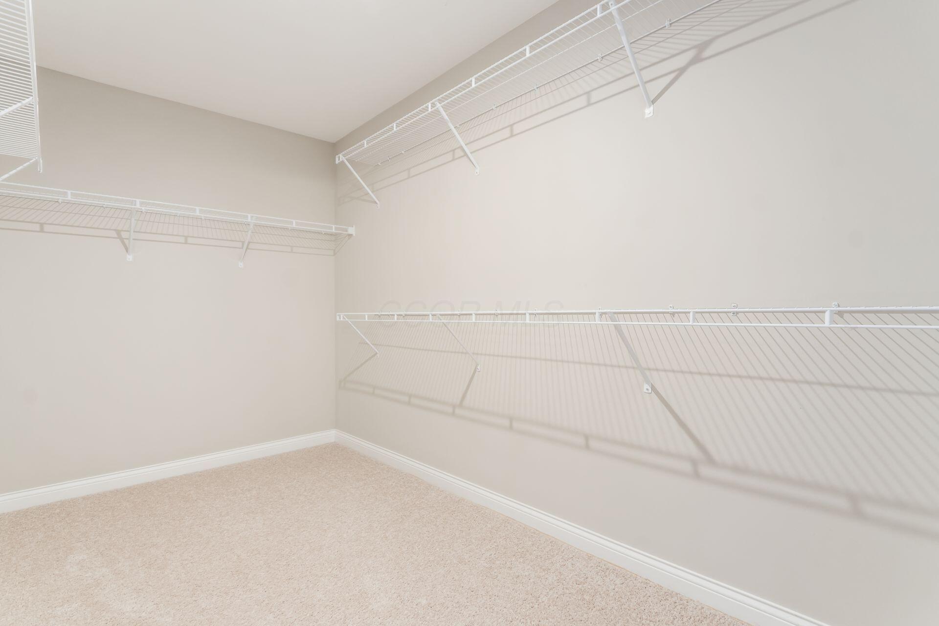 239 Harness Way