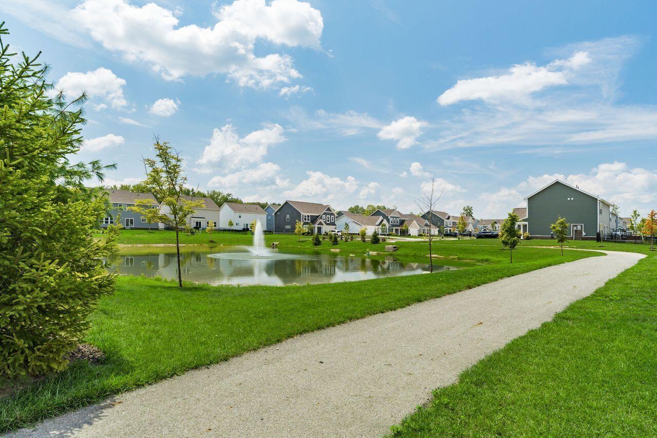 1004 Beehive Grove