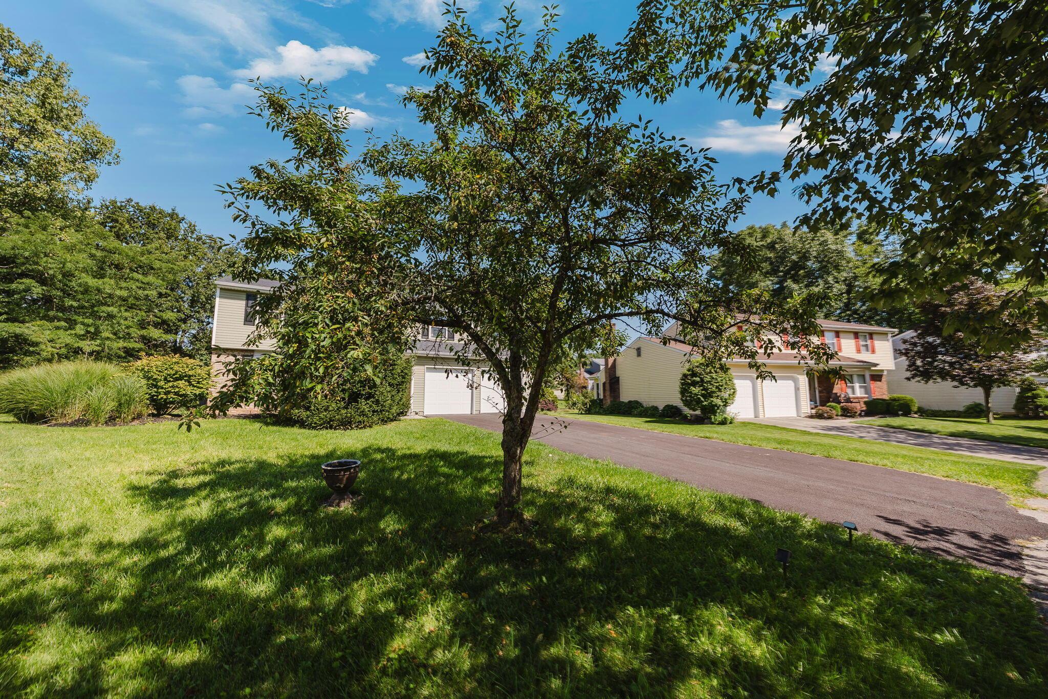 5298 Predmore Place