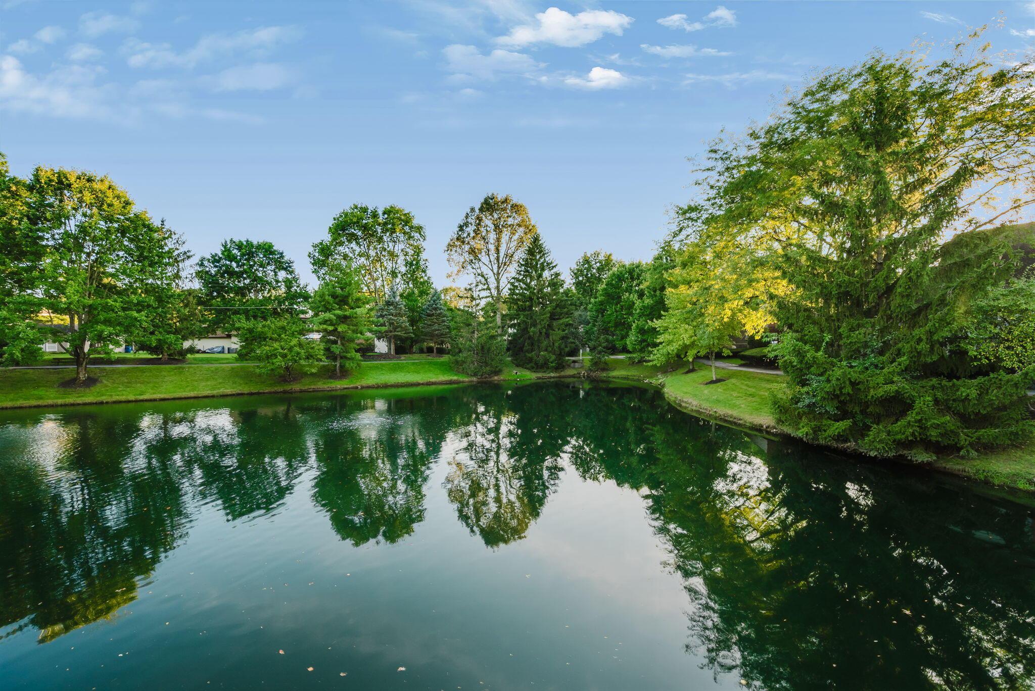 203 Bluestone Court