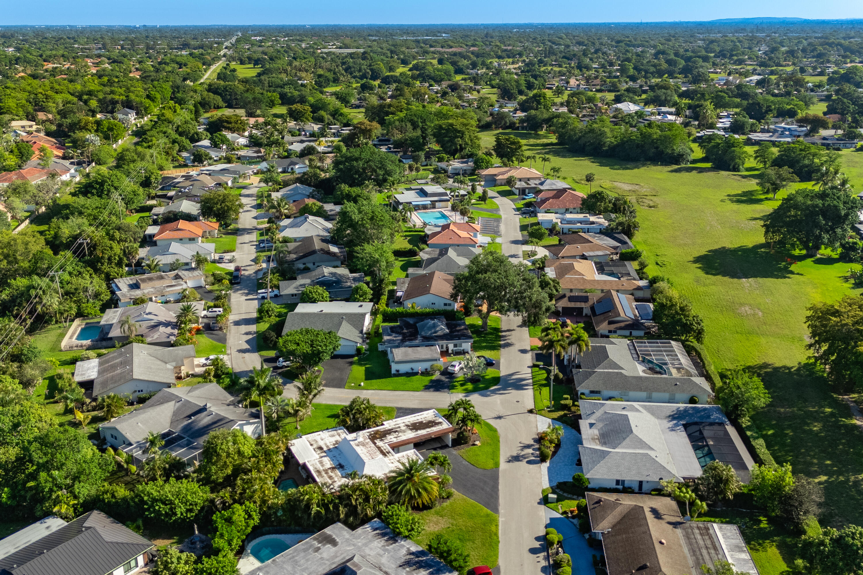 4507 Norfolk Island Pine Drive