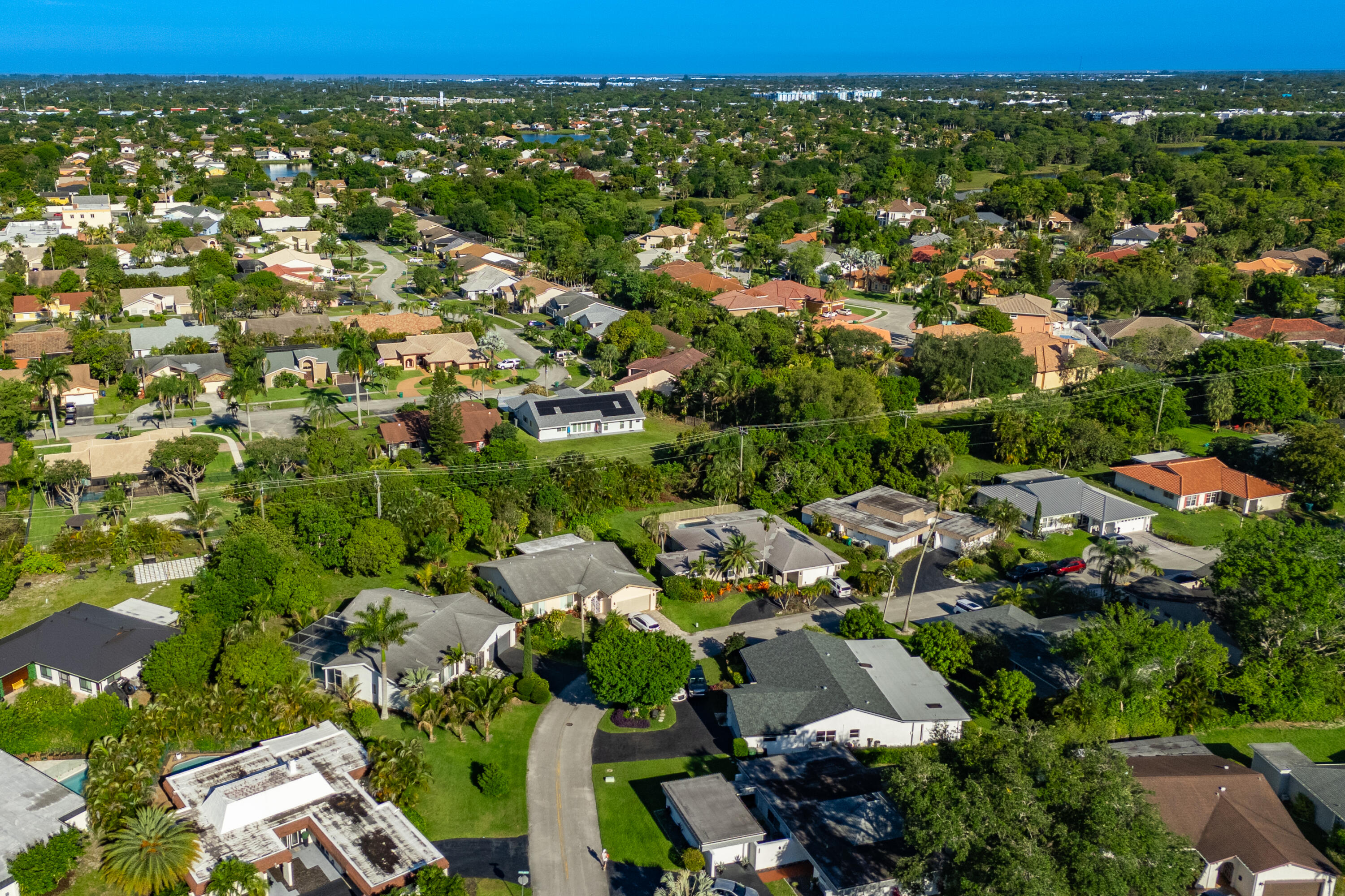 4507 Norfolk Island Pine Drive