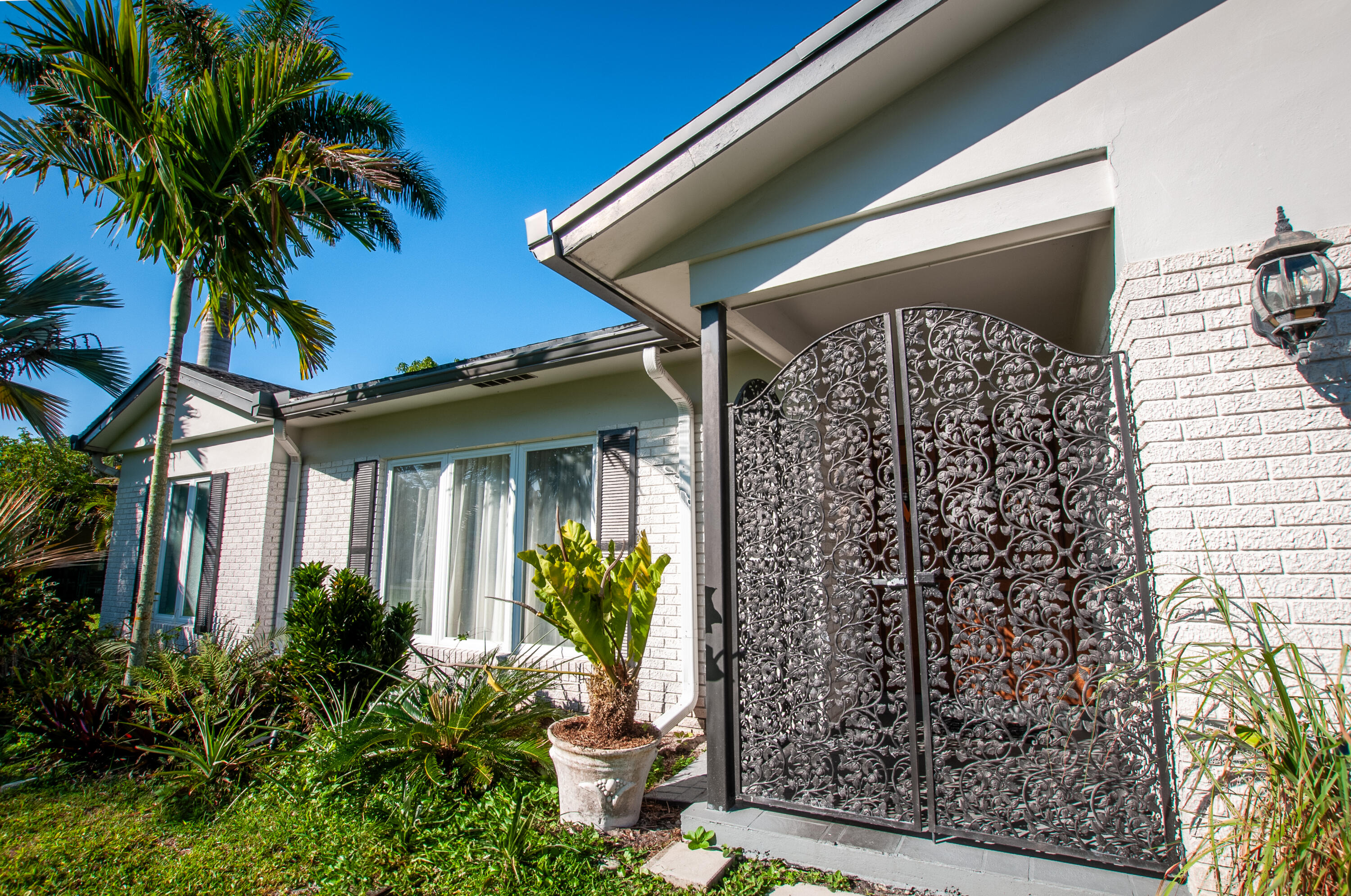 4507 Norfolk Island Pine Drive