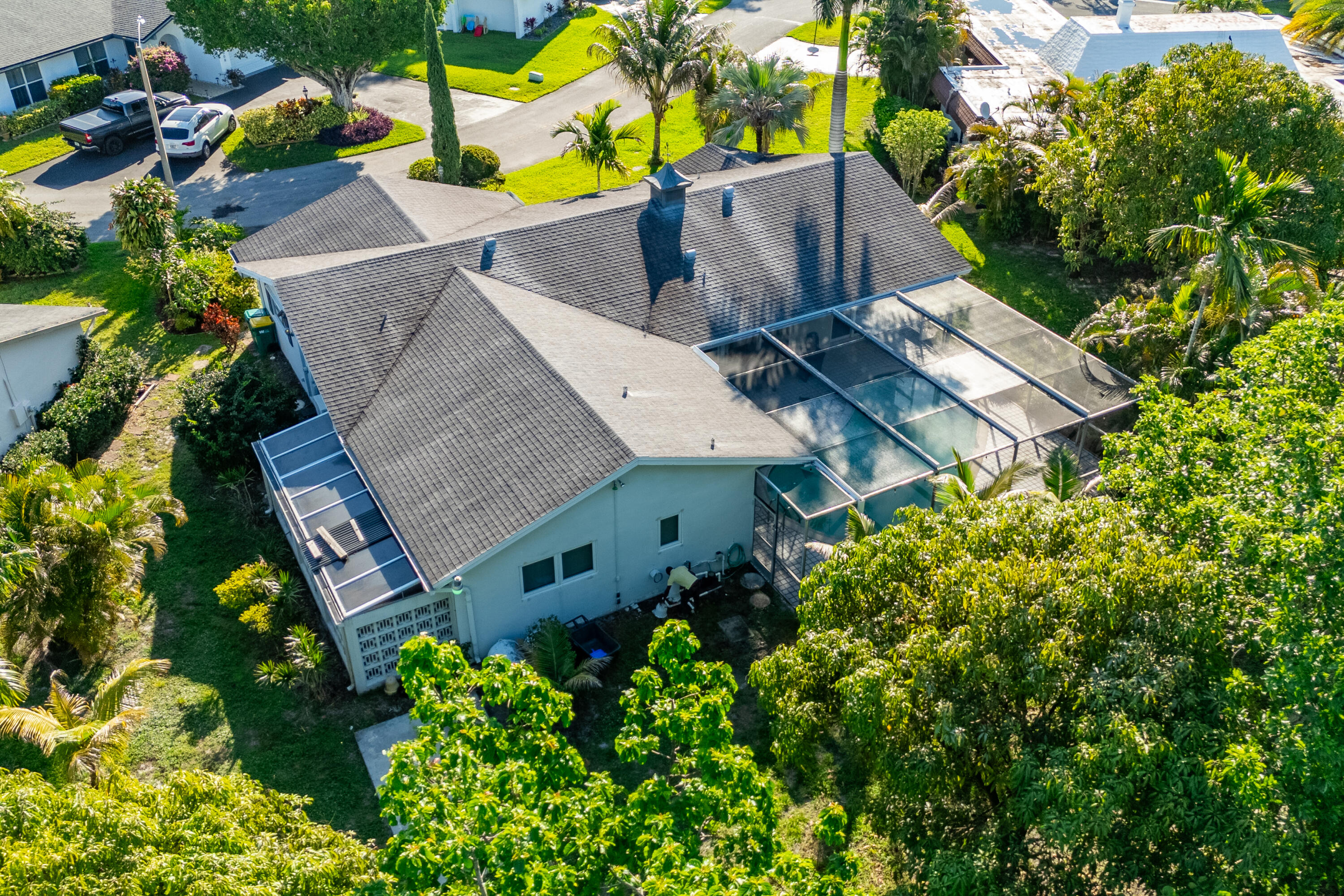4507 Norfolk Island Pine Drive